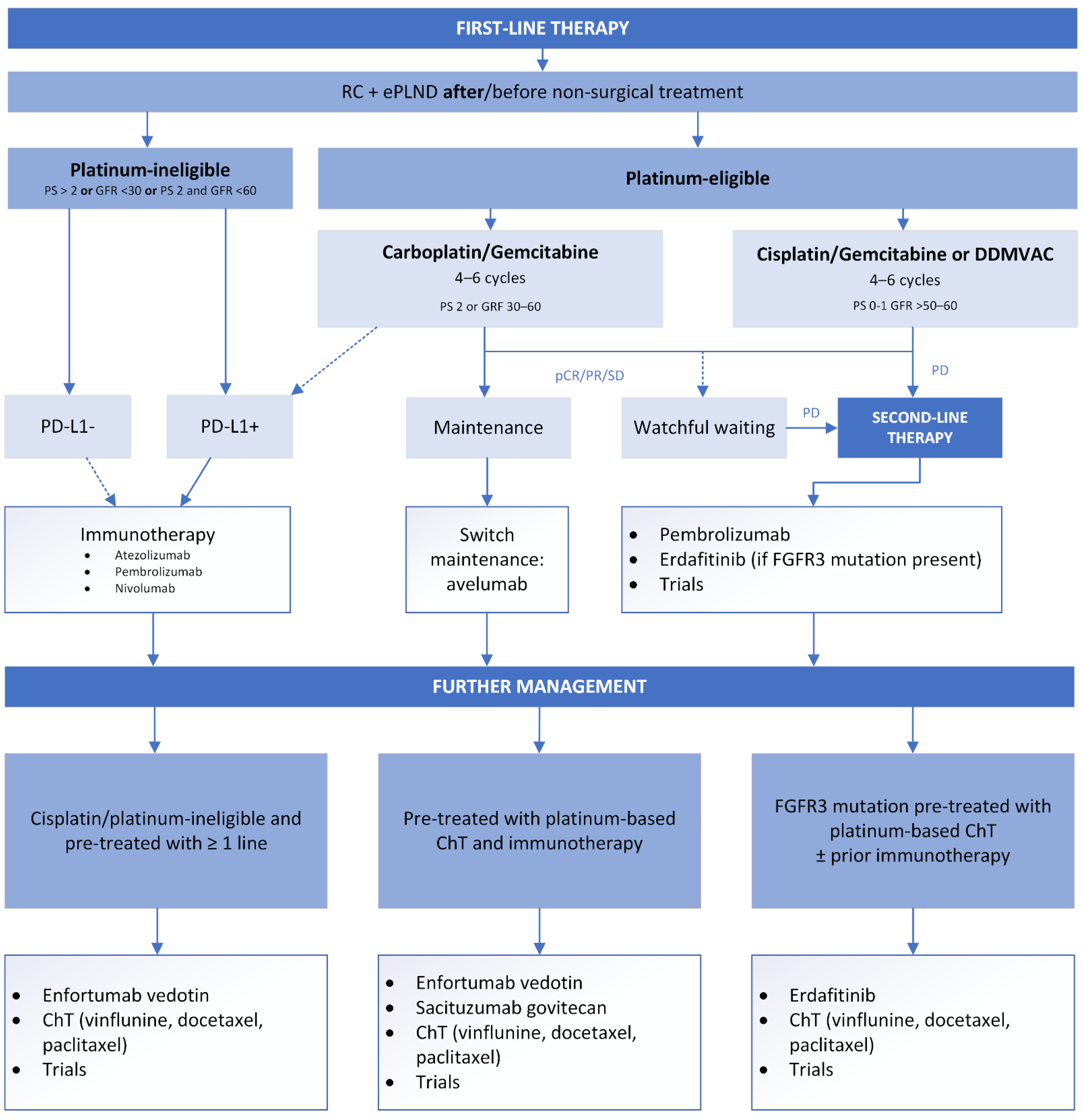 Cancers 14 05286 g003