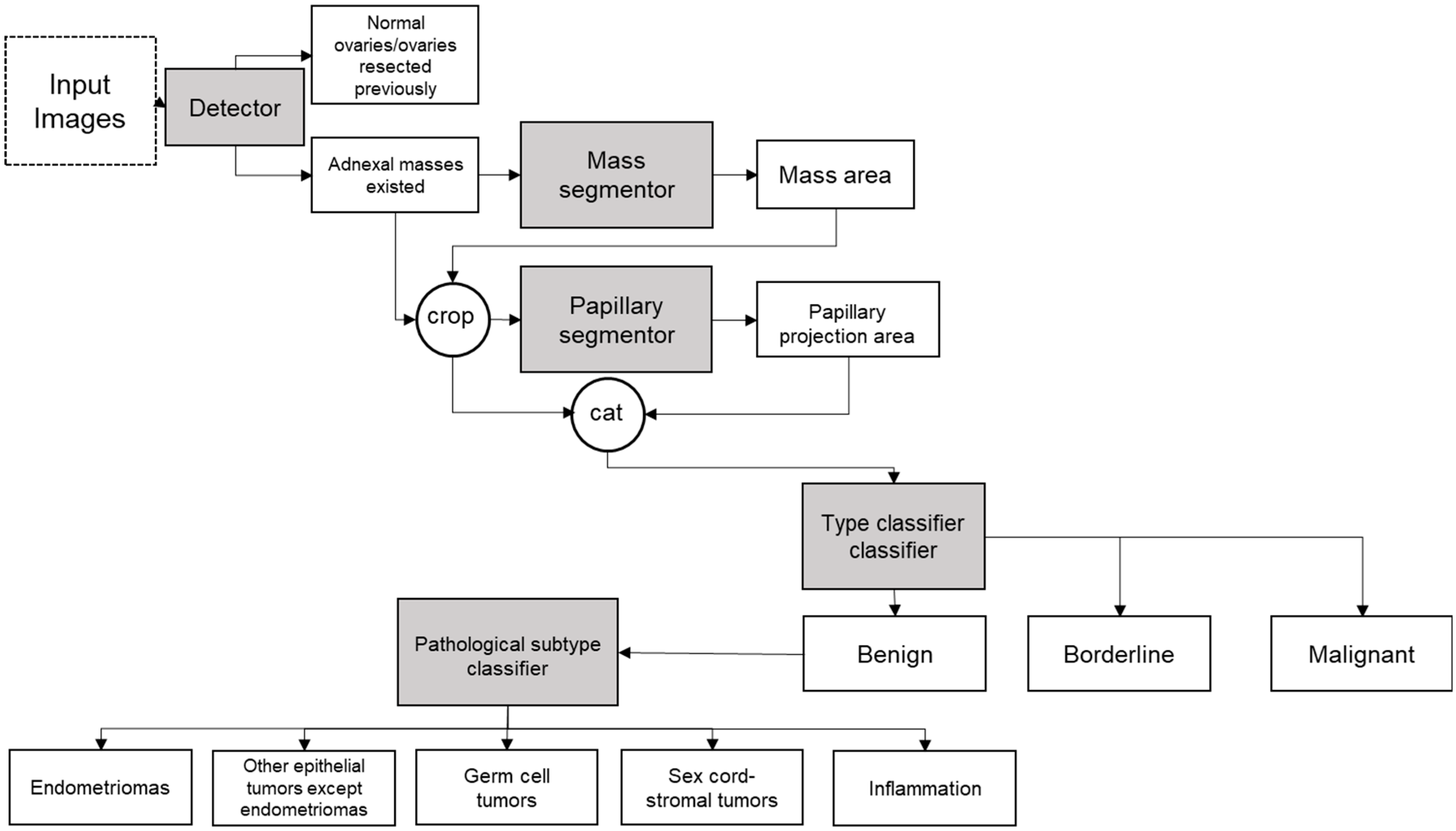 Cancers 14 05291 g001