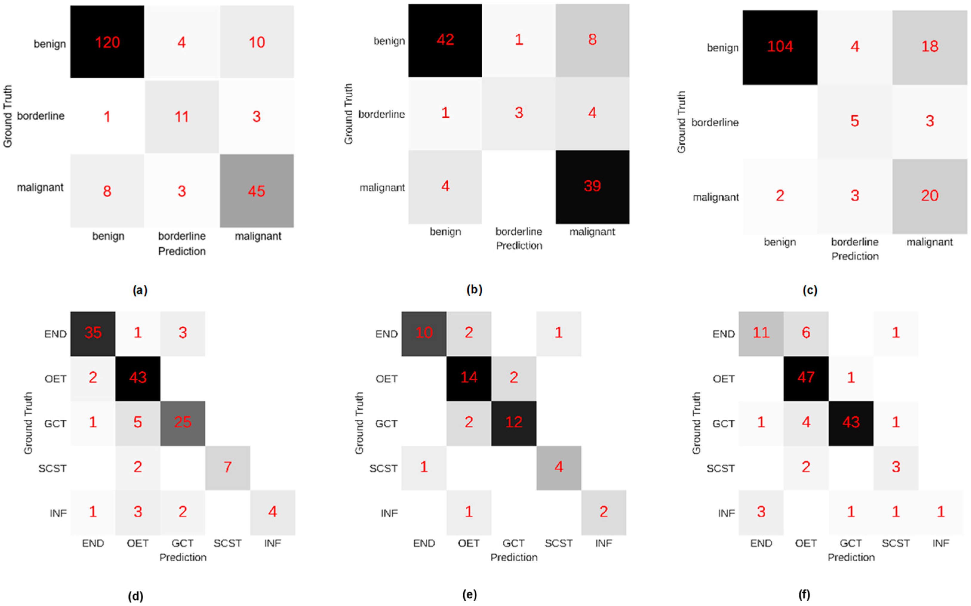 Cancers 14 05291 g004