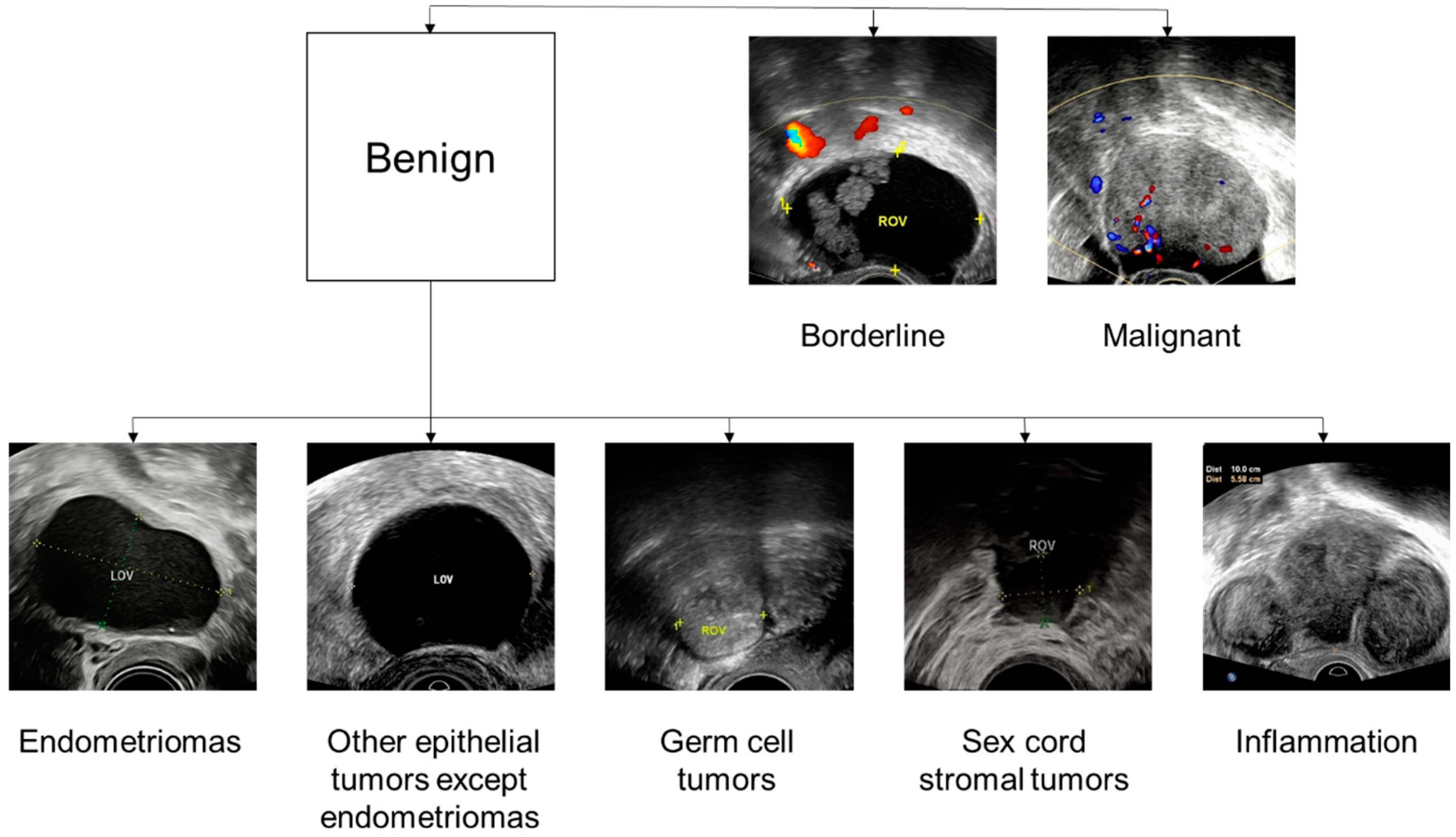 Cancers 14 05291 g006
