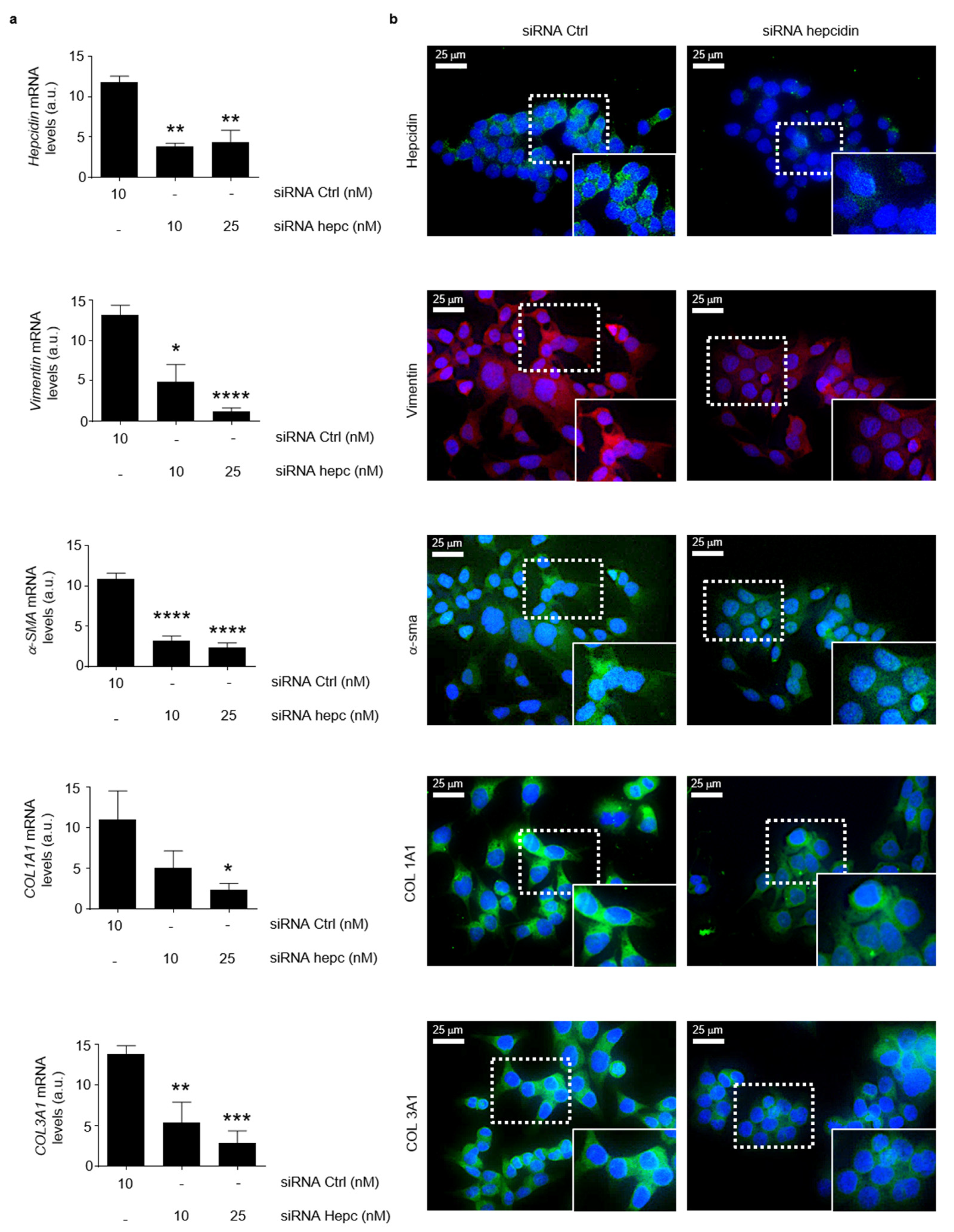 Cancers 14 05294 g008