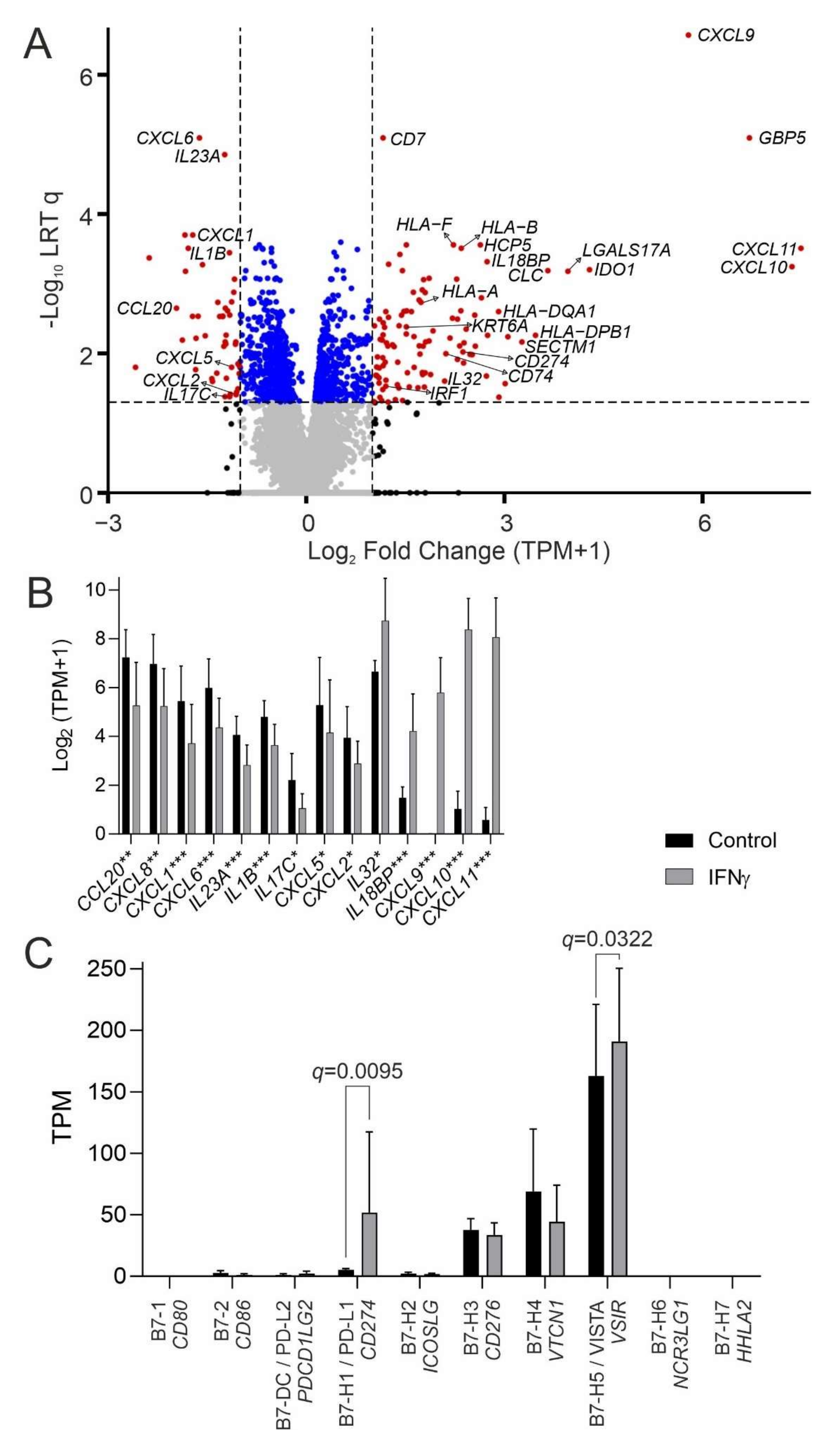 Cancers 14 05295 g001