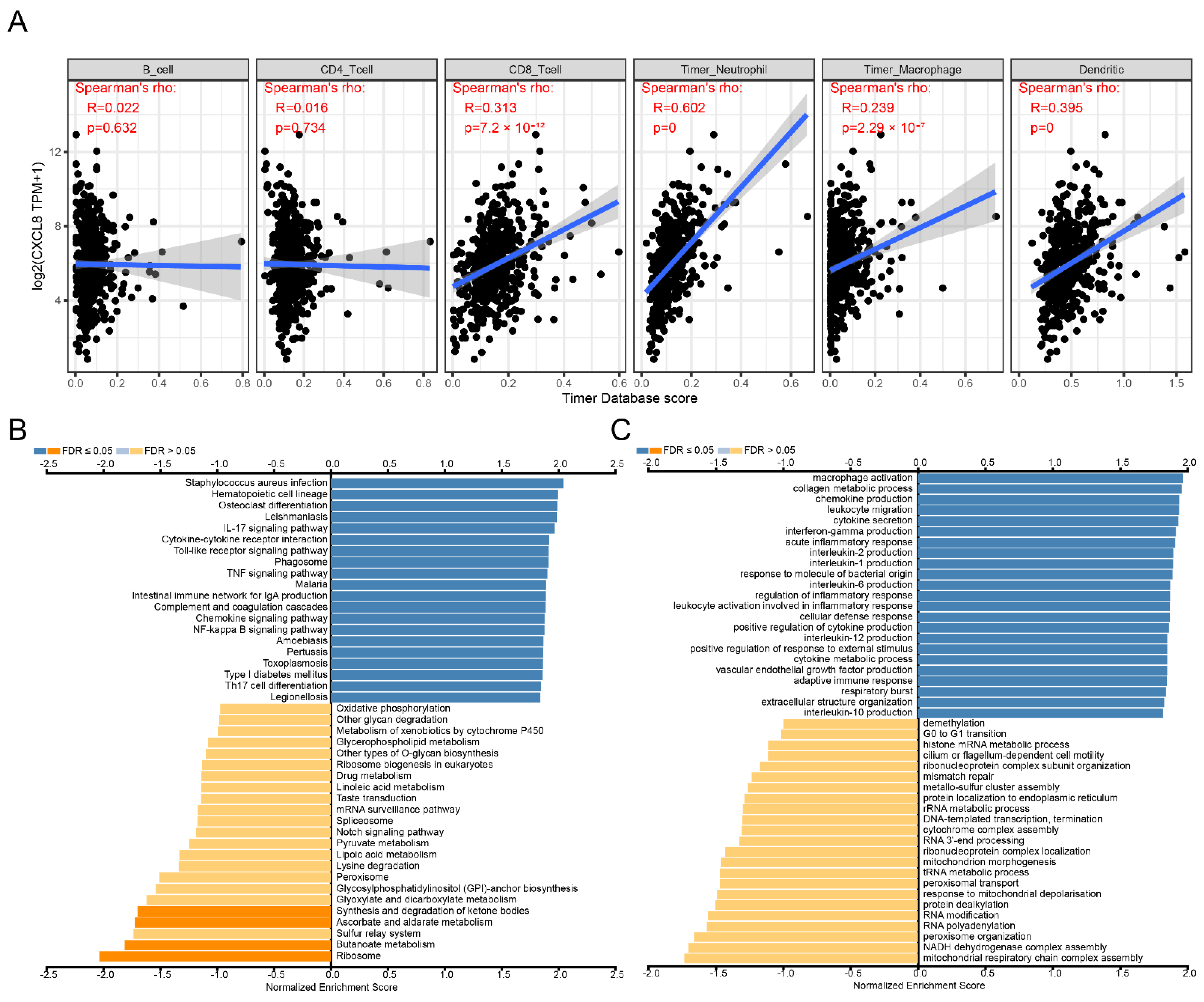 Cancers 14 05300 g002 Cancers 14 05300 g002