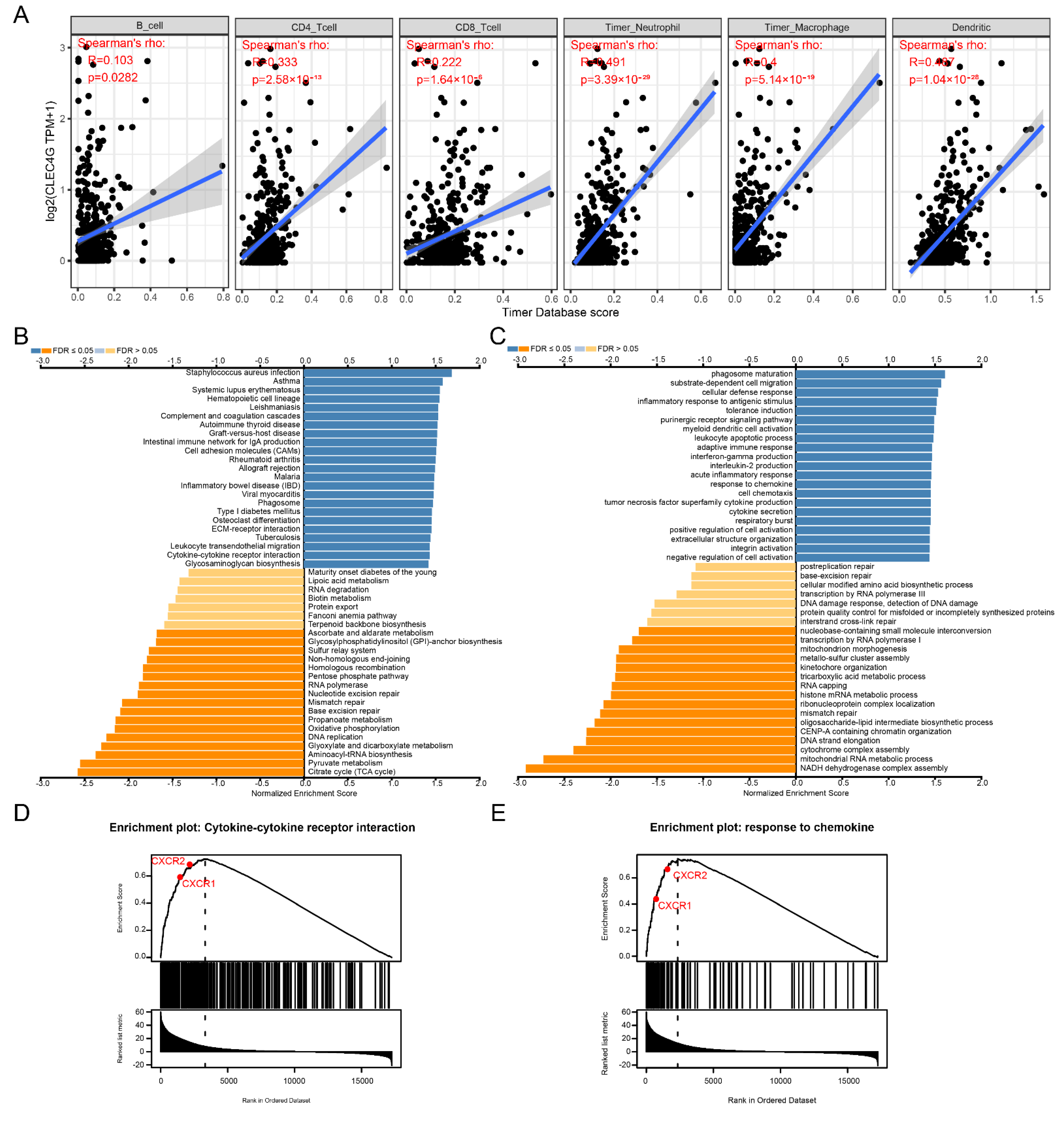 Cancers 14 05300 g005 Cancers 14 05300 g005