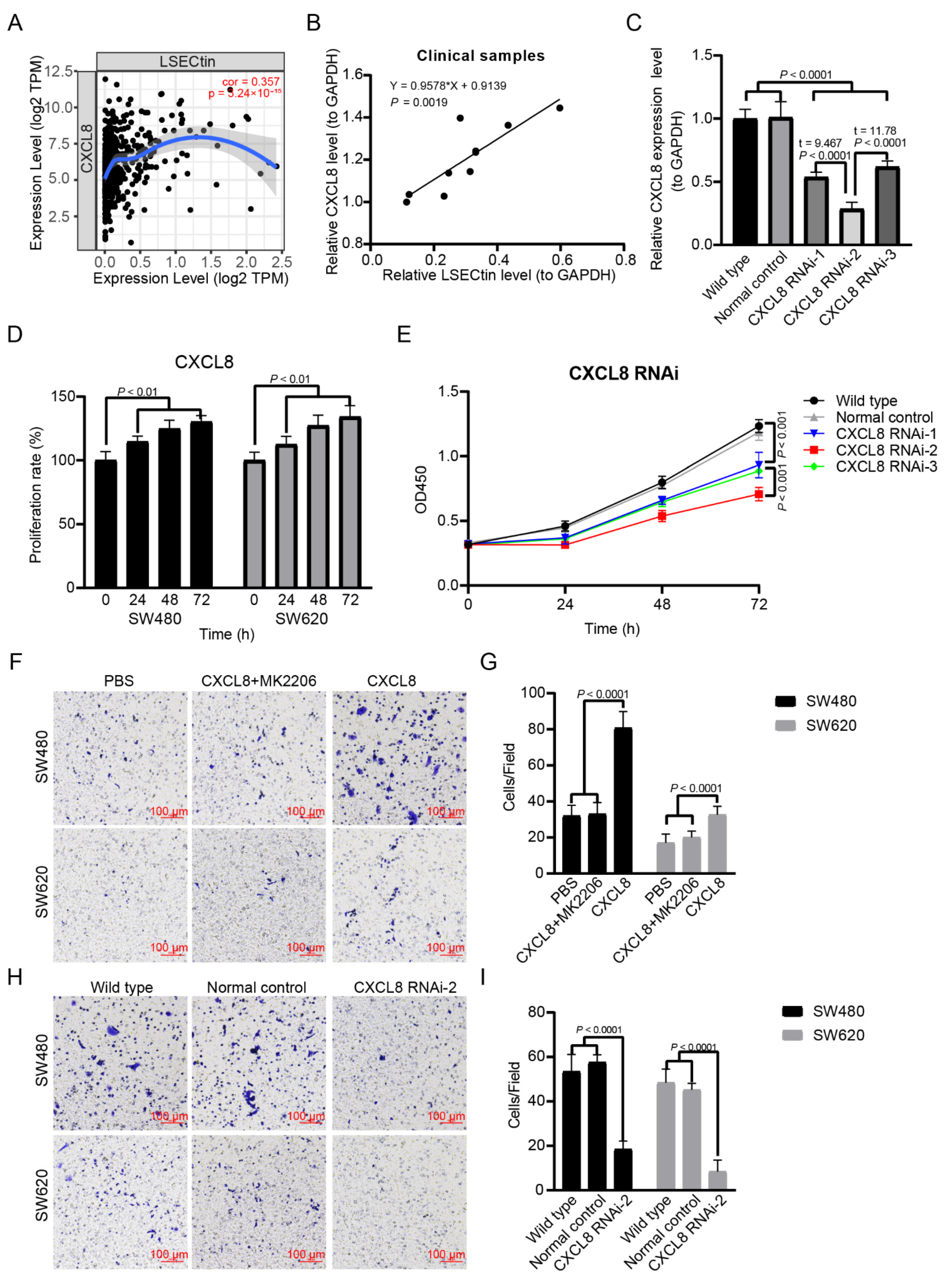 Cancers 14 05300 g007 Cancers 14 05300 g007