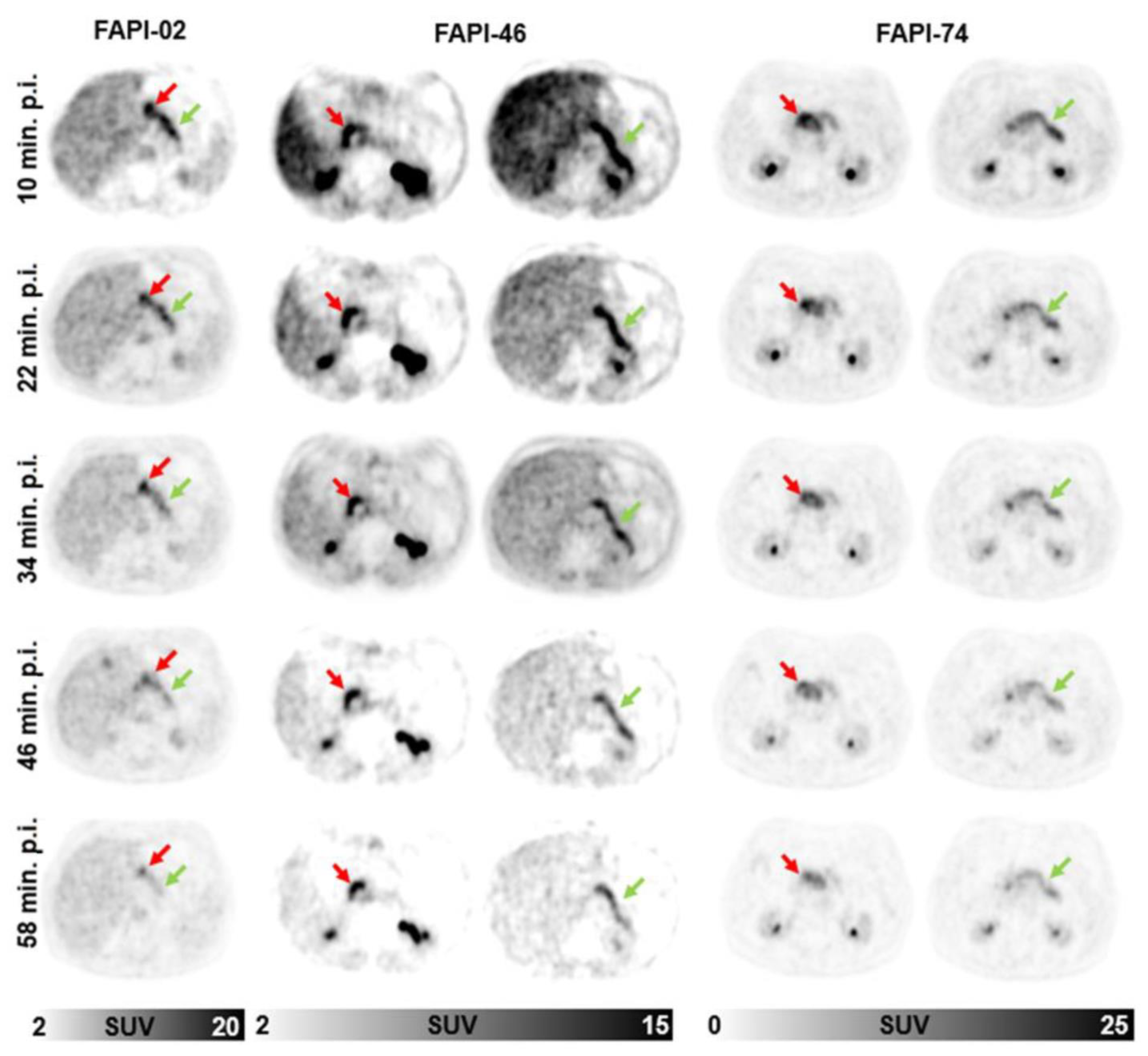 Cancers 14 05301 g005