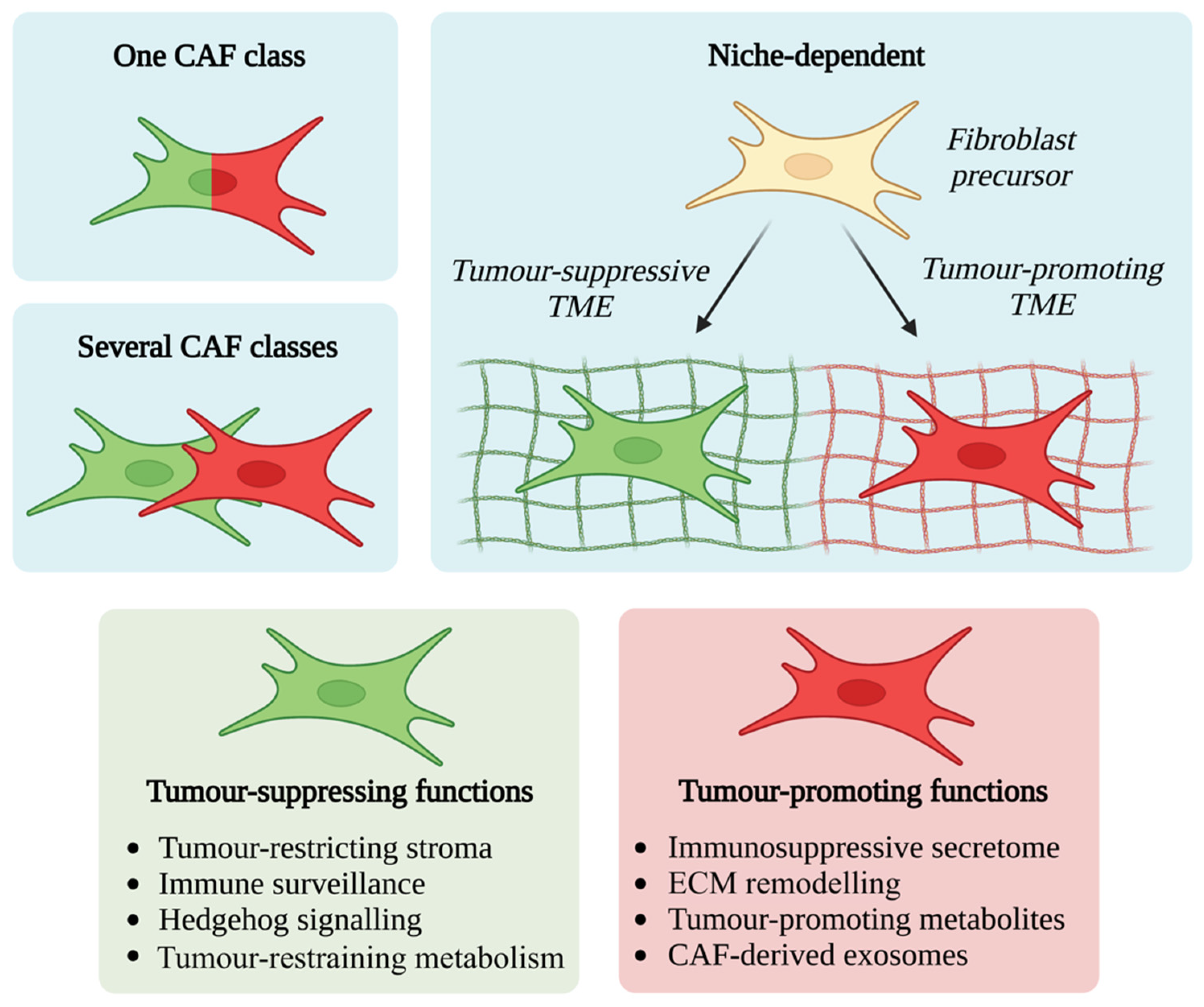 Cancers 14 05302 g002