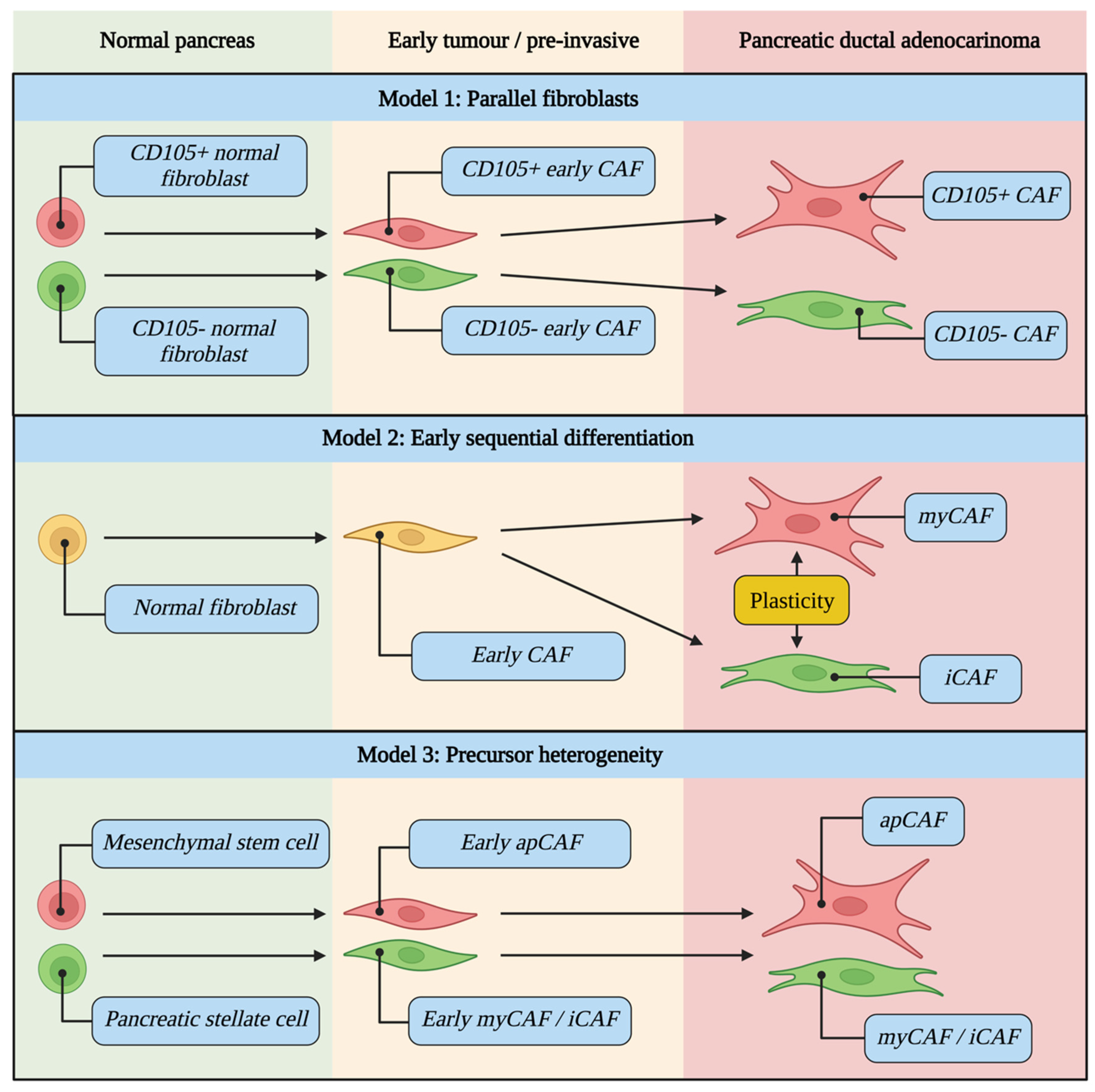 Cancers 14 05302 g003