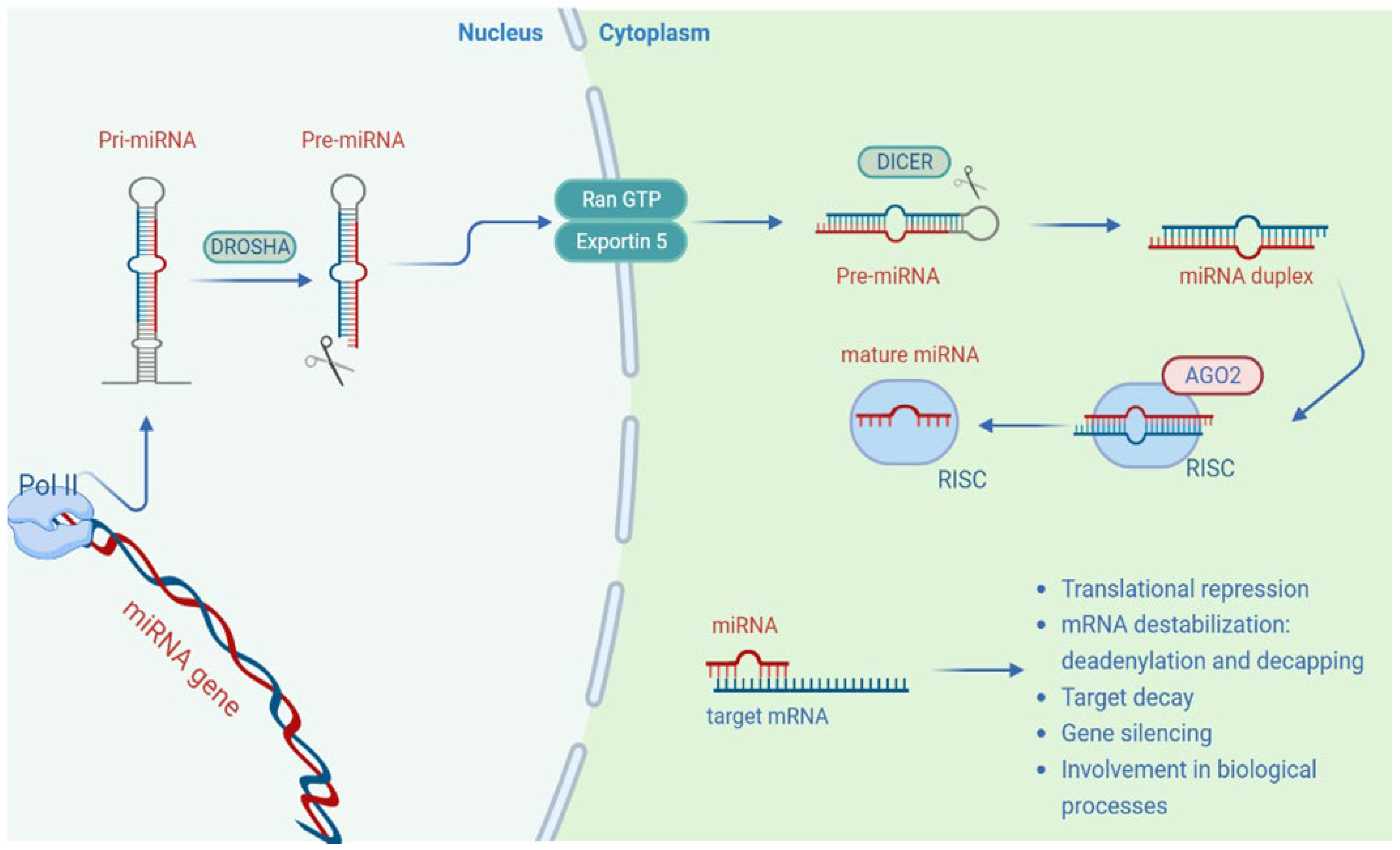 Cancers 14 05304 g002