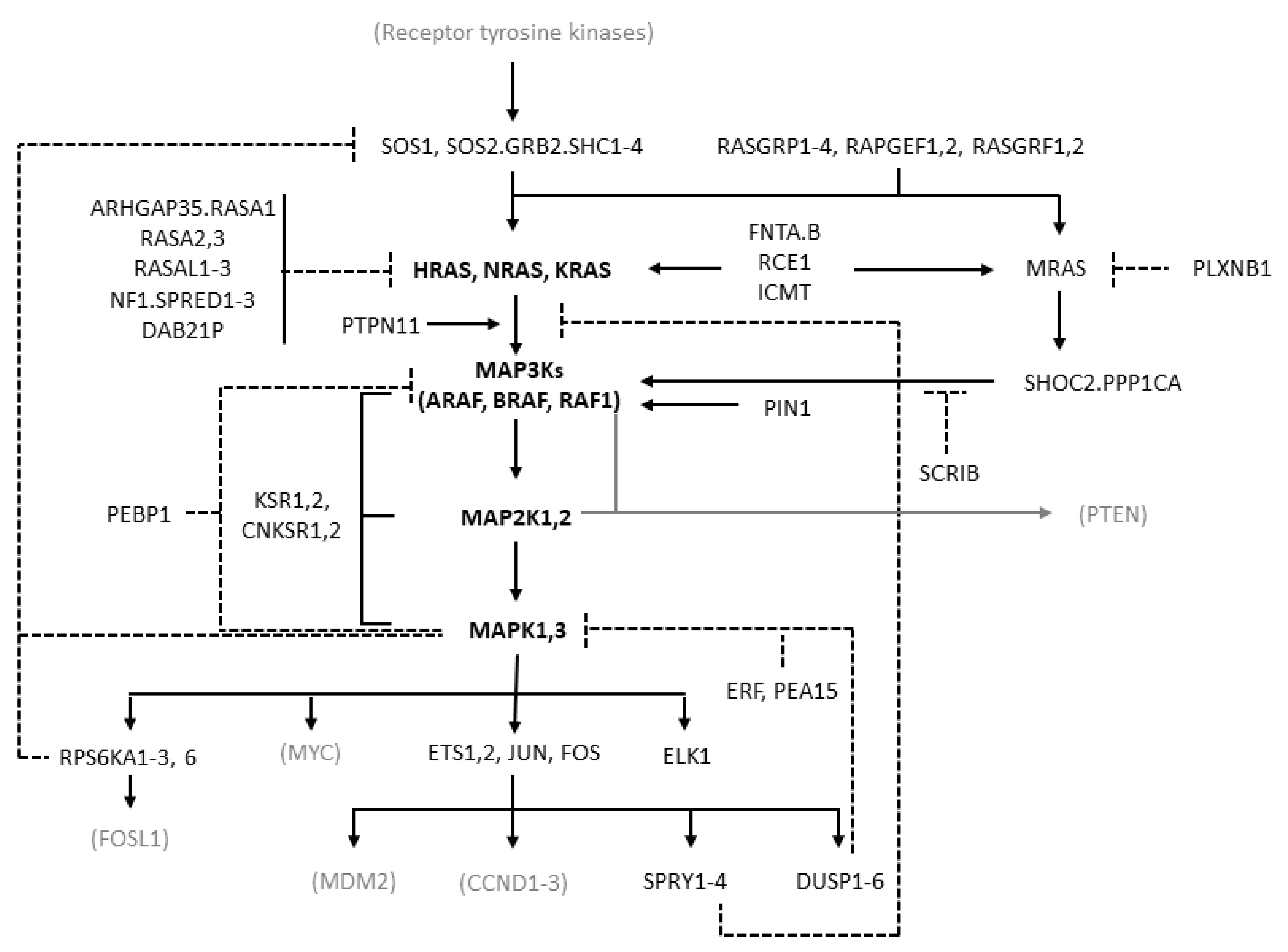 Cancers 14 05306 g001