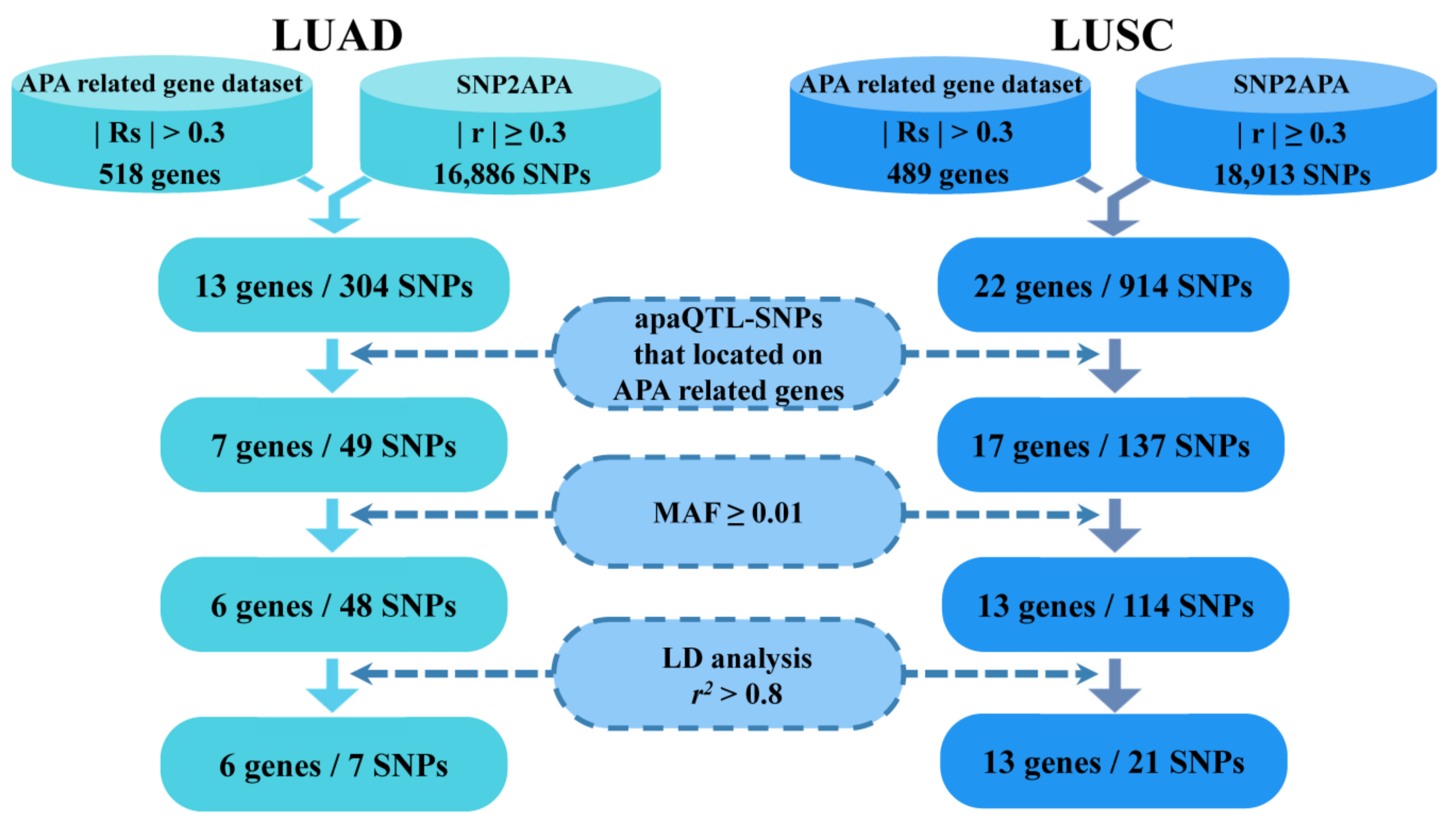 Cancers 14 05309 g001