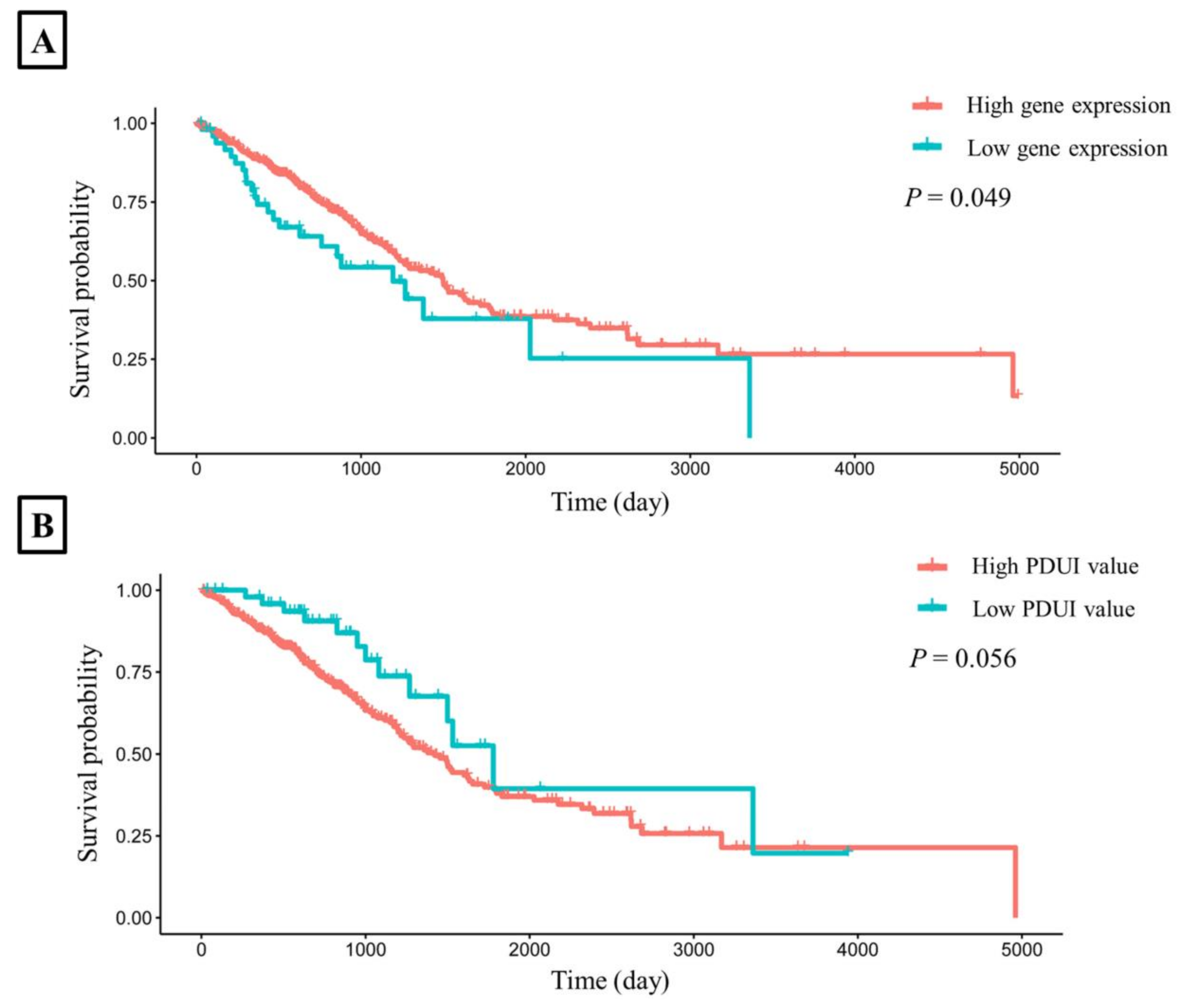 Cancers 14 05309 g004