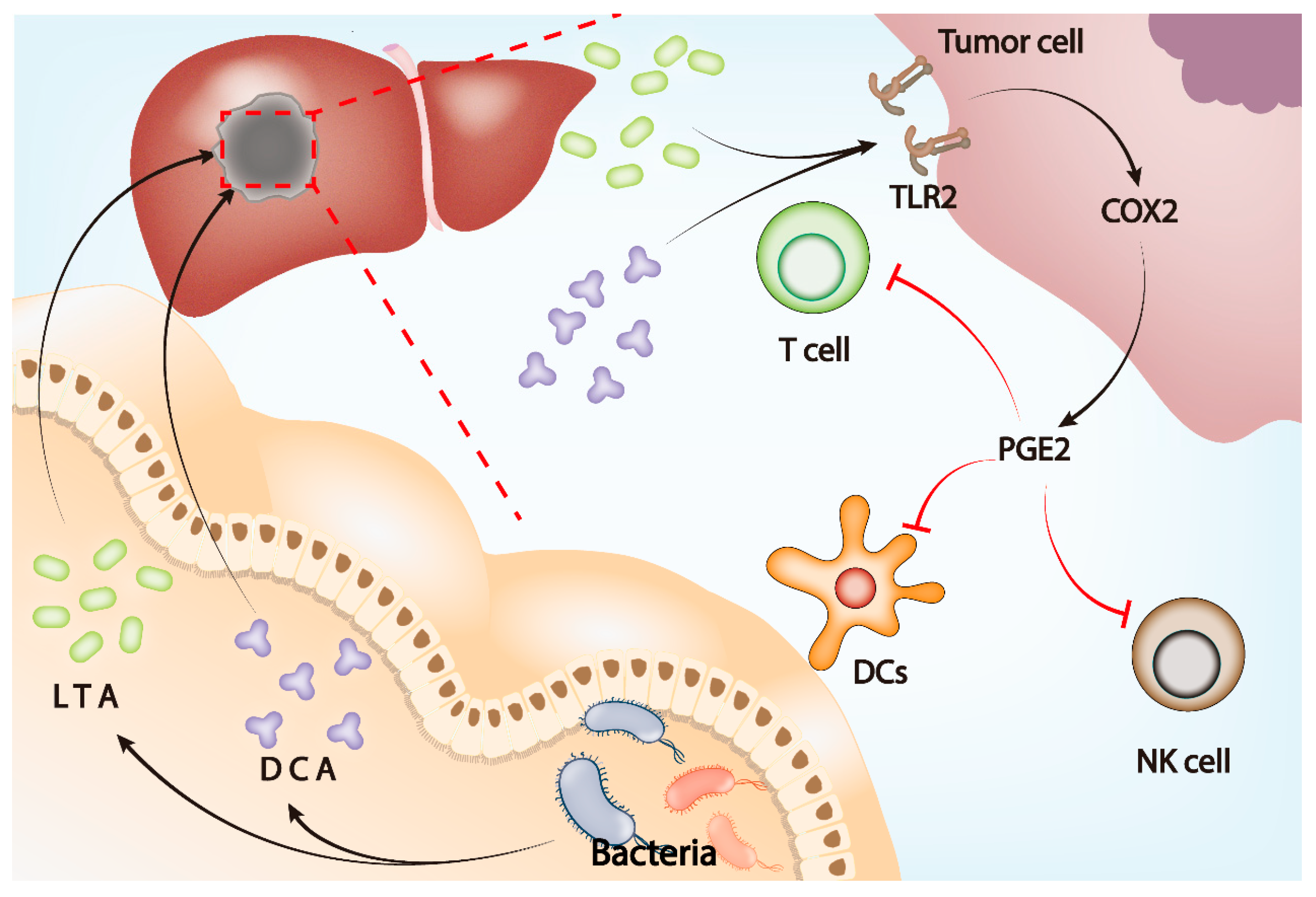 Cancers 14 05317 g003