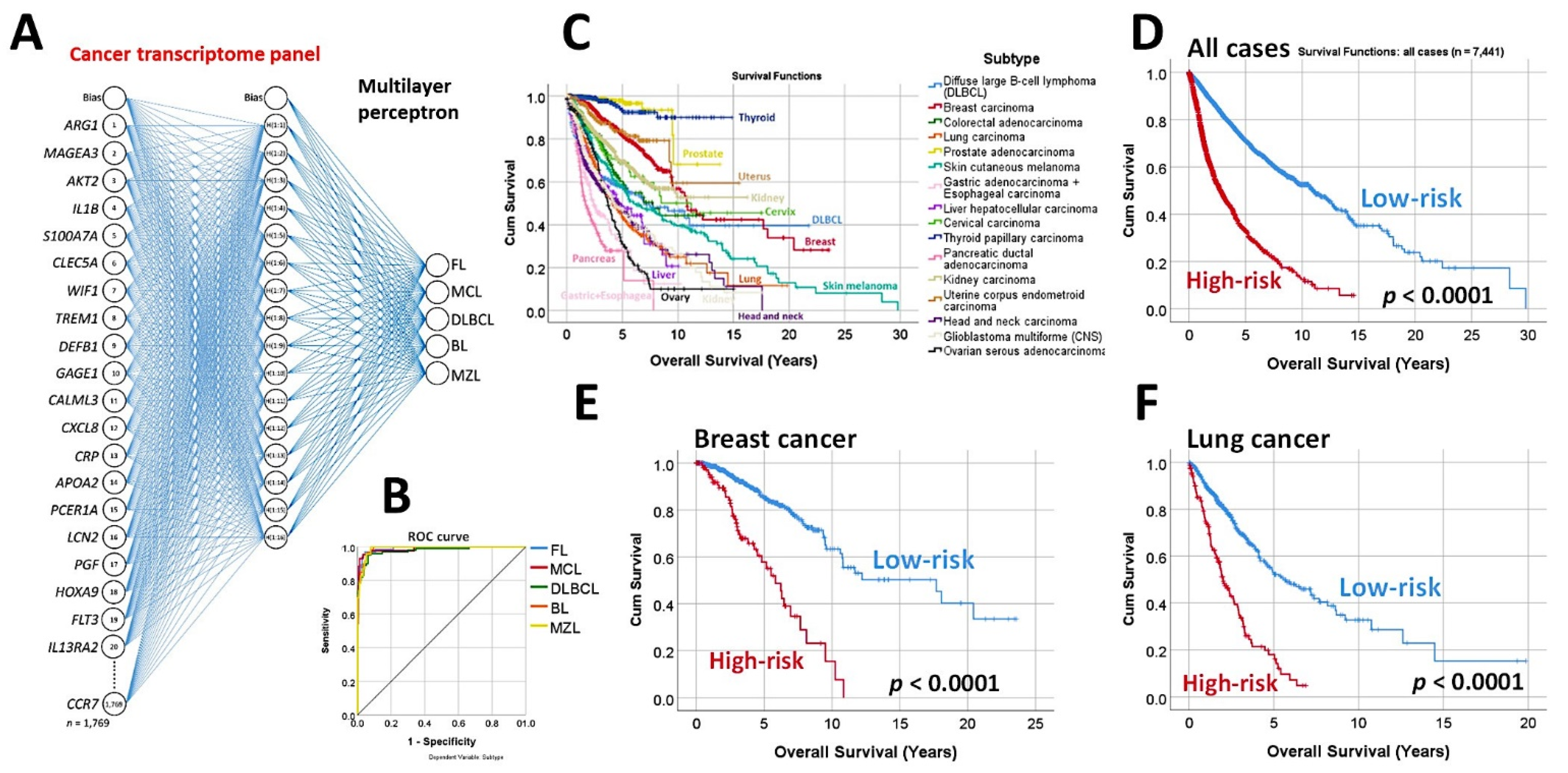 Cancers 14 05318 g004
