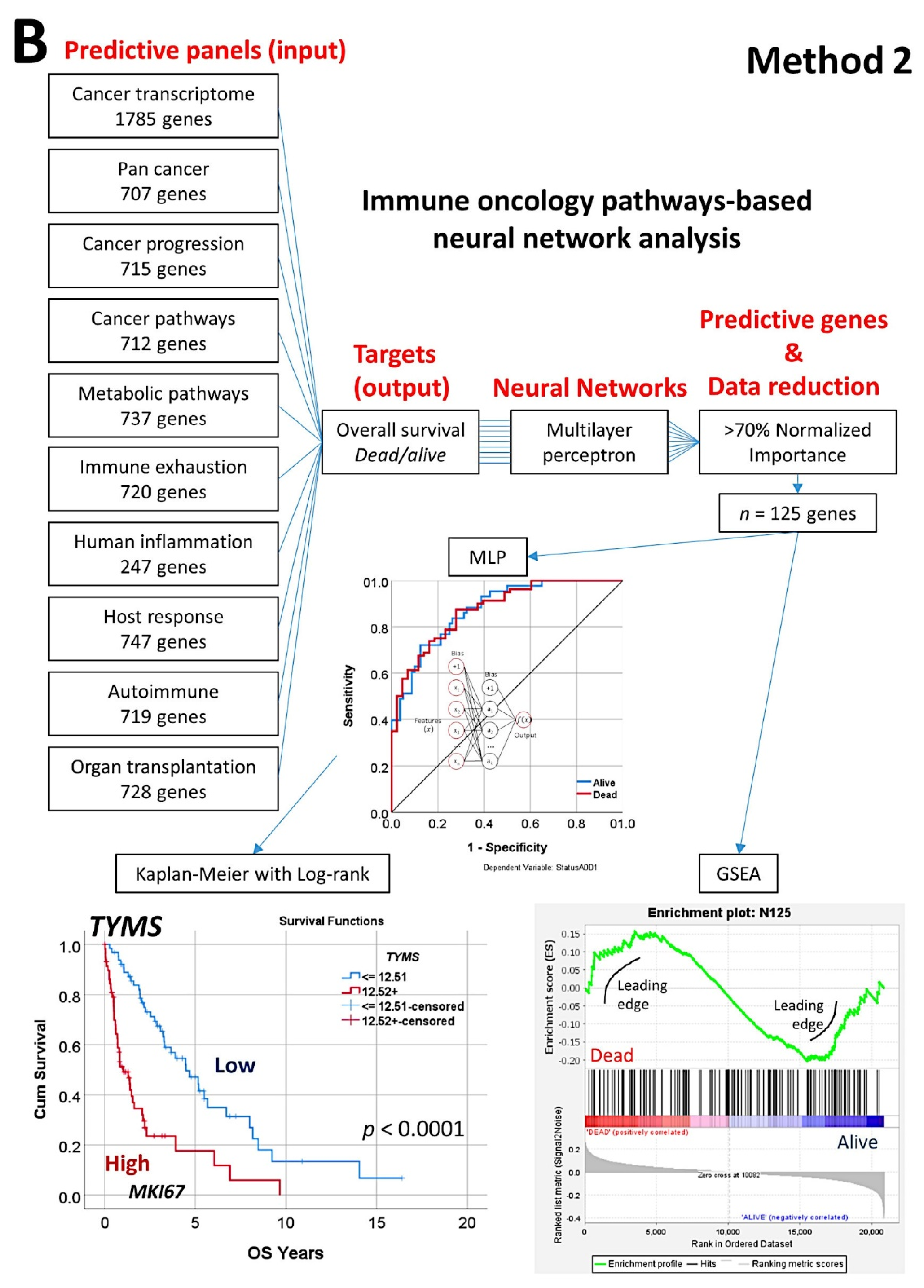 Cancers 14 05318 g009b