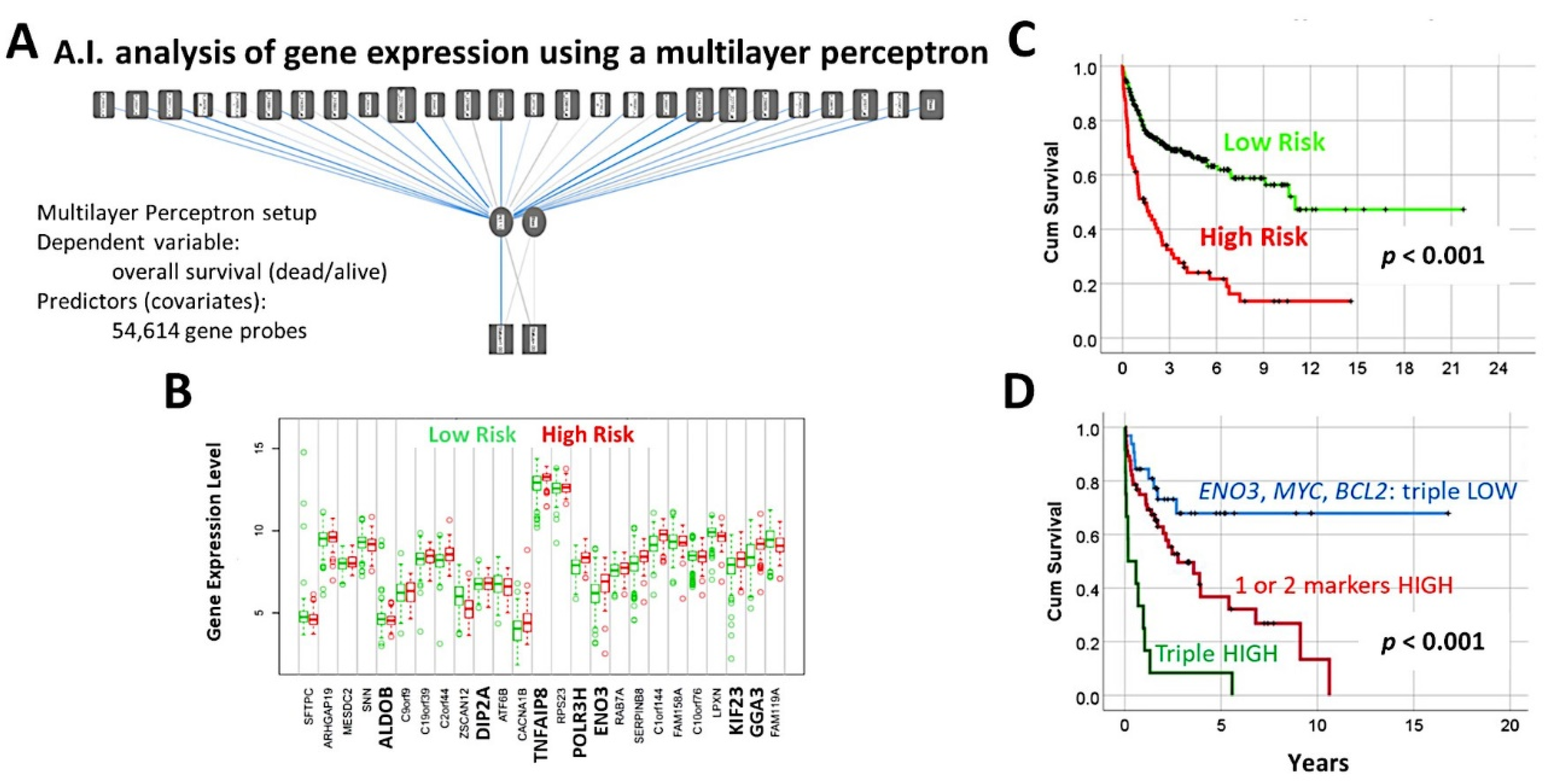 Cancers 14 05318 g010