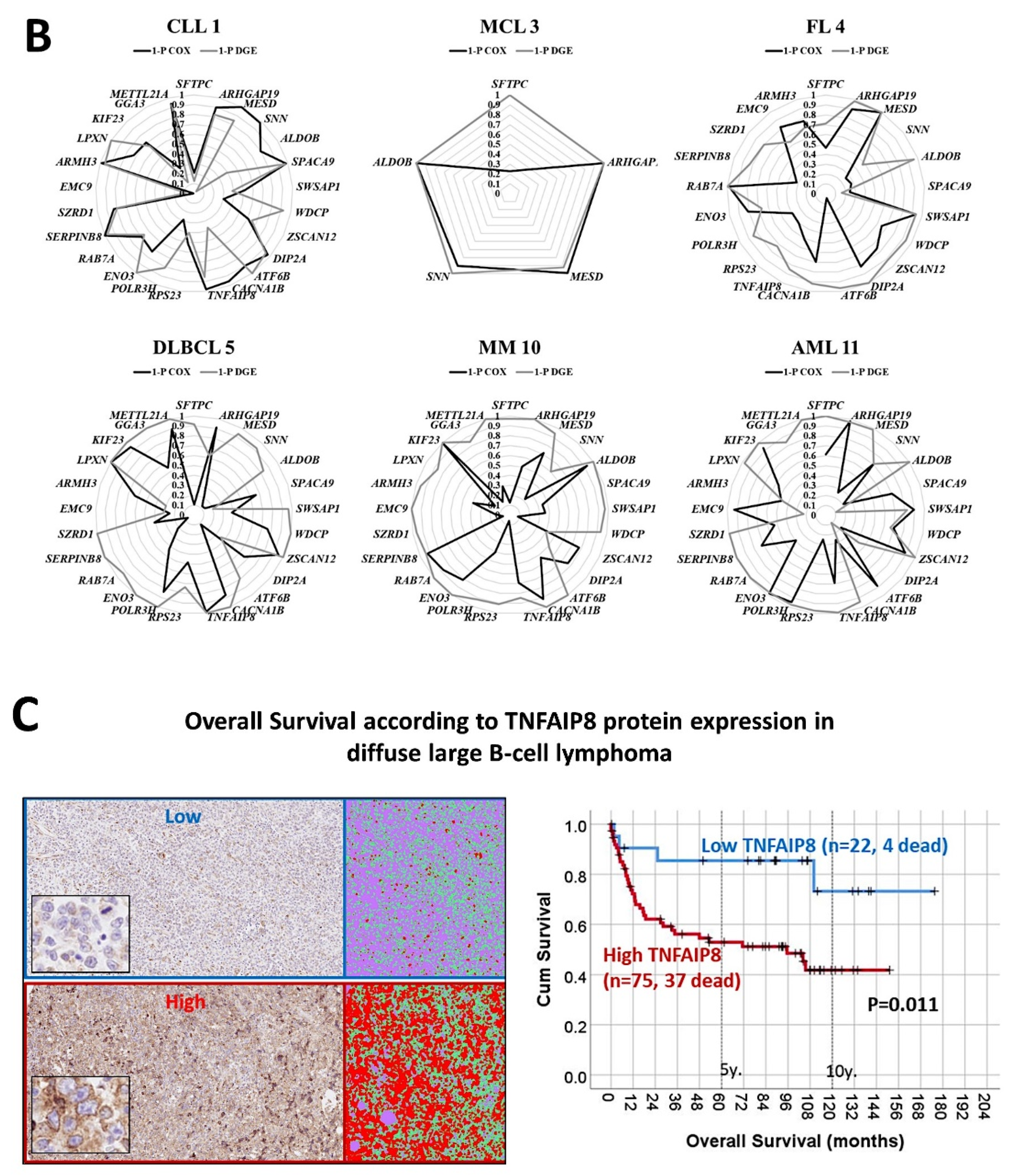 Cancers 14 05318 g012b