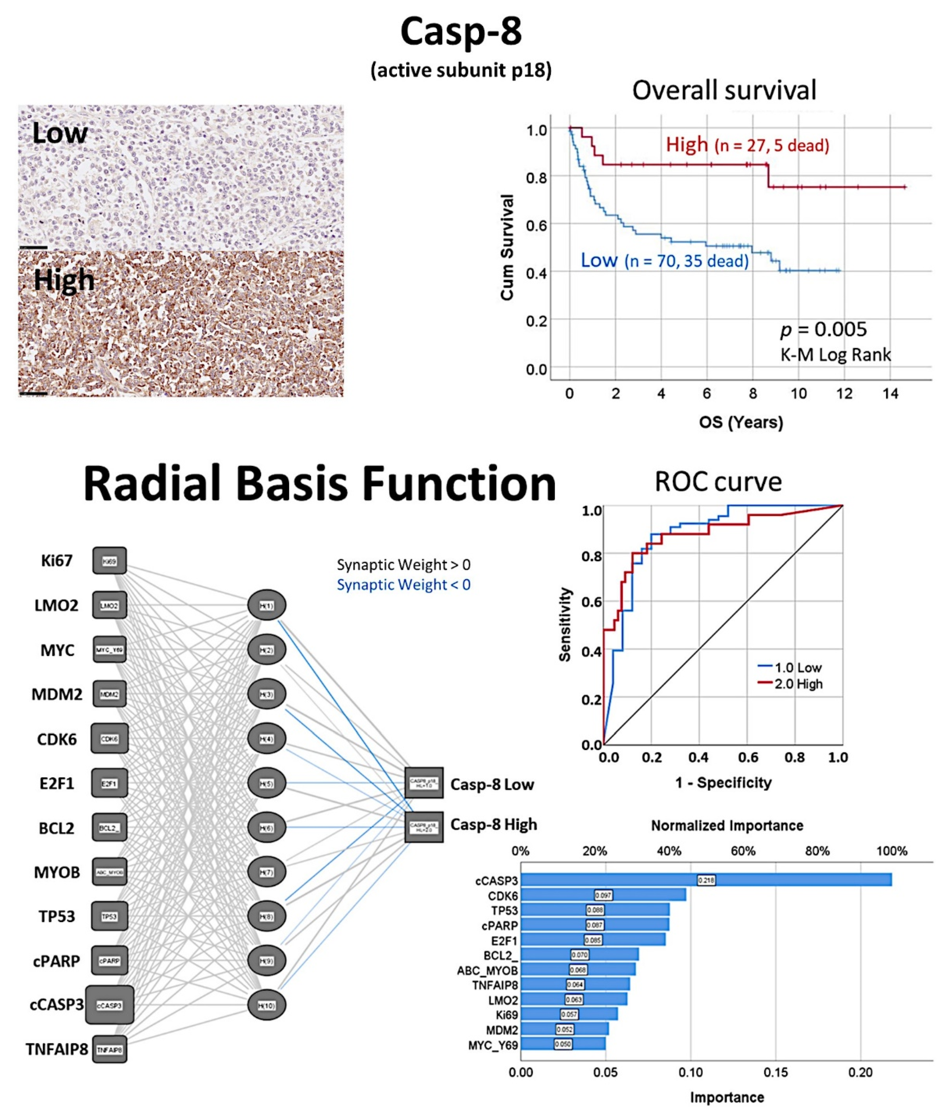 Cancers 14 05318 g013