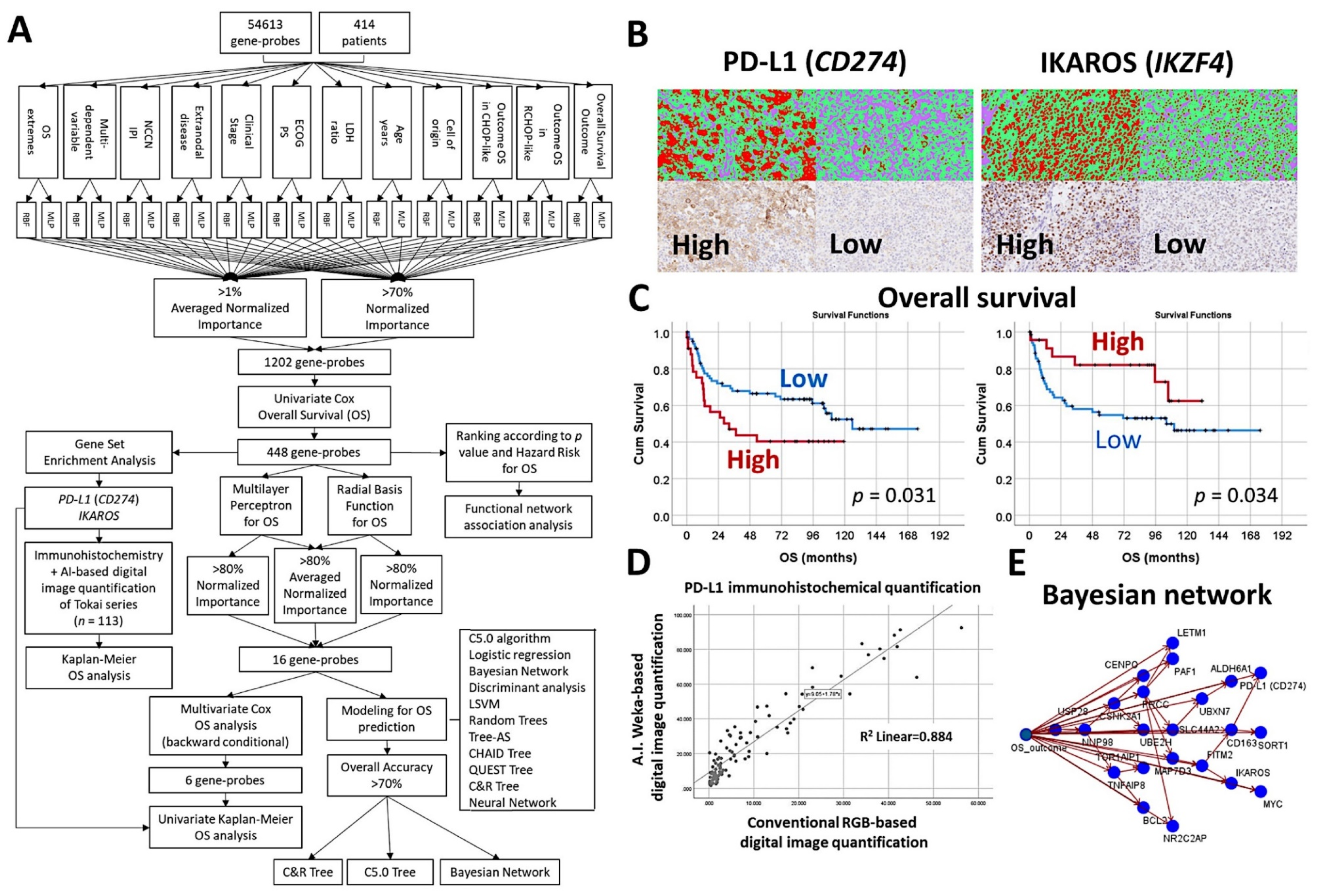 Cancers 14 05318 g015