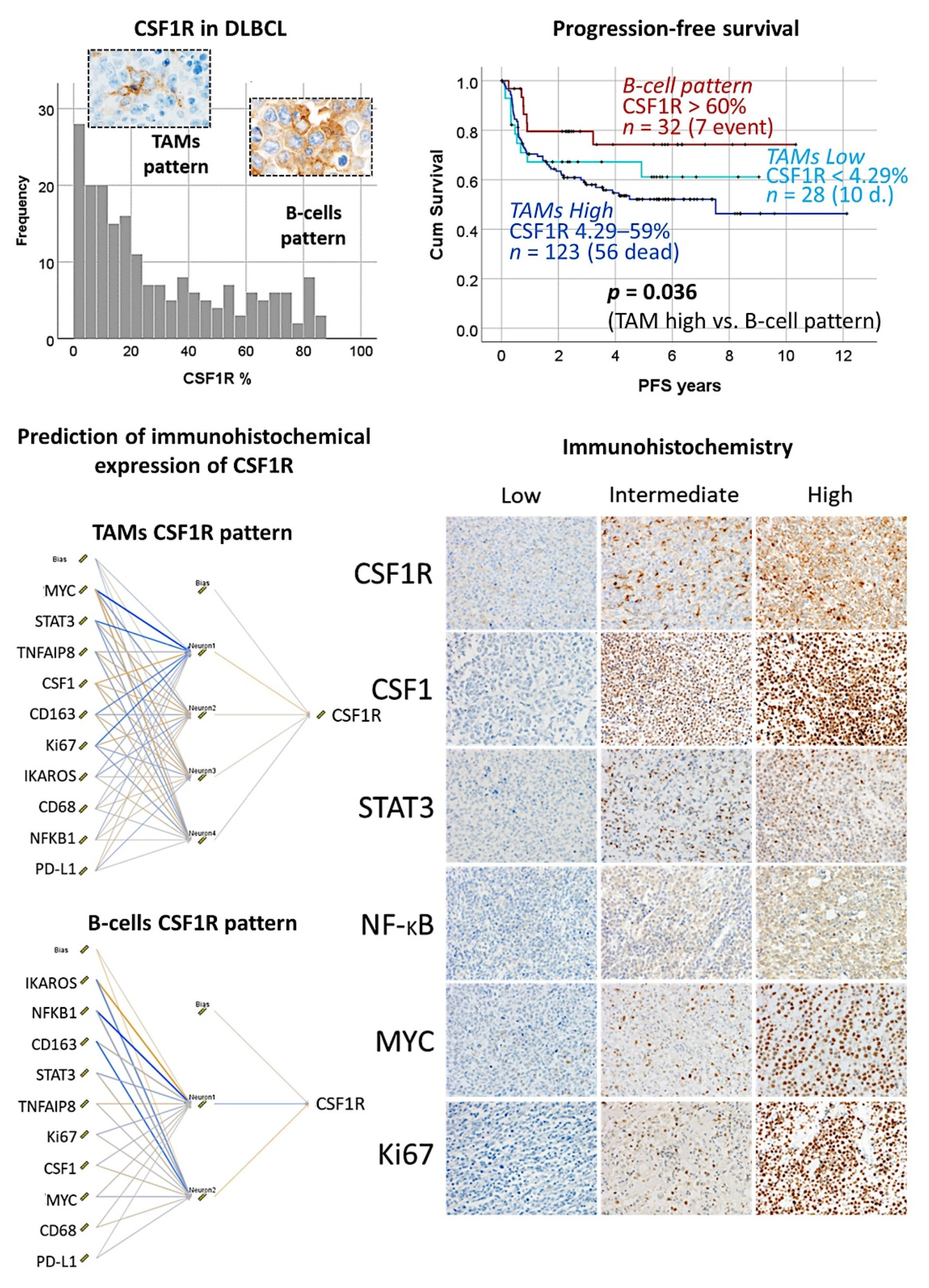 Cancers 14 05318 g016