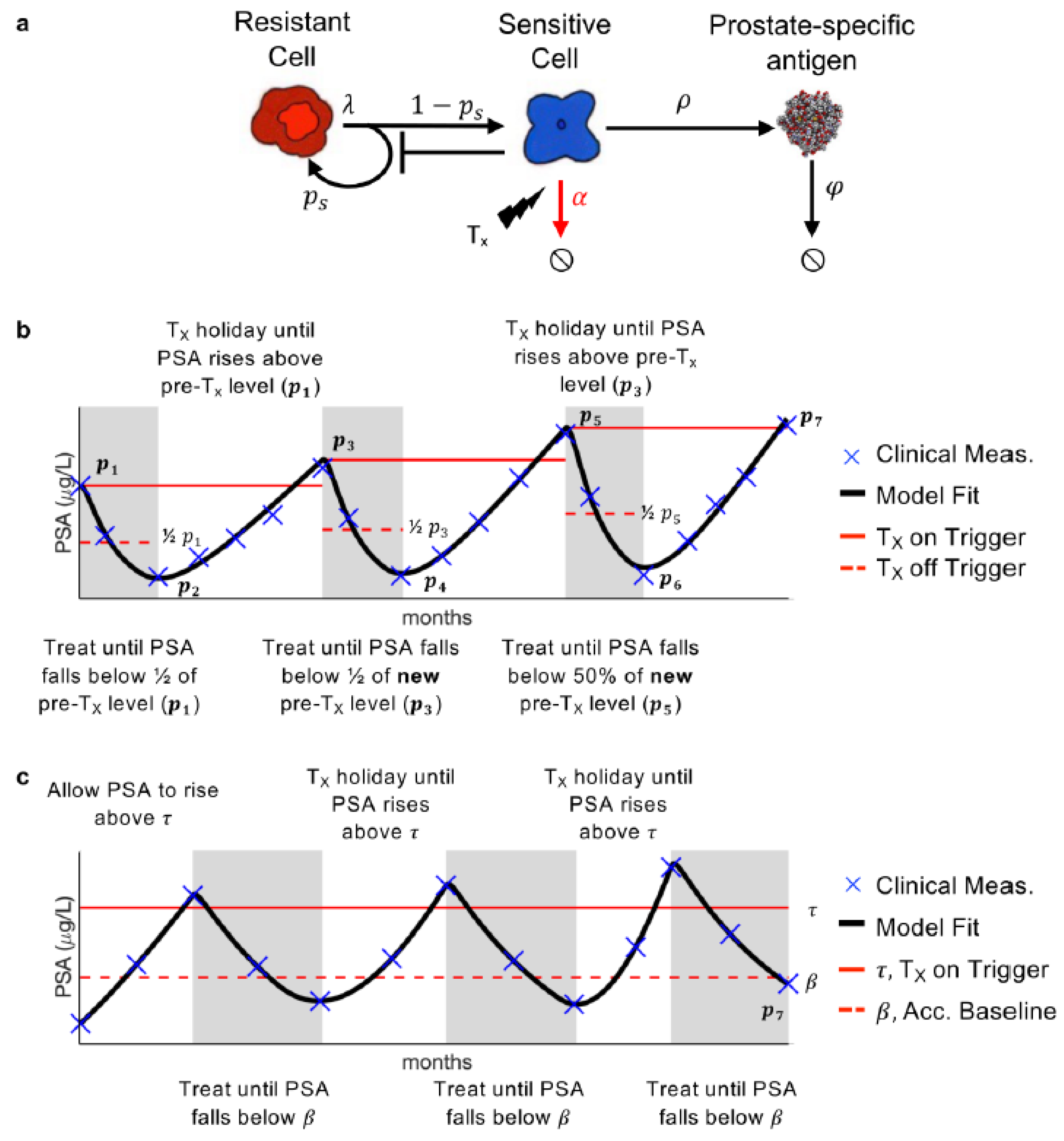 Cancers 14 05319 g001
