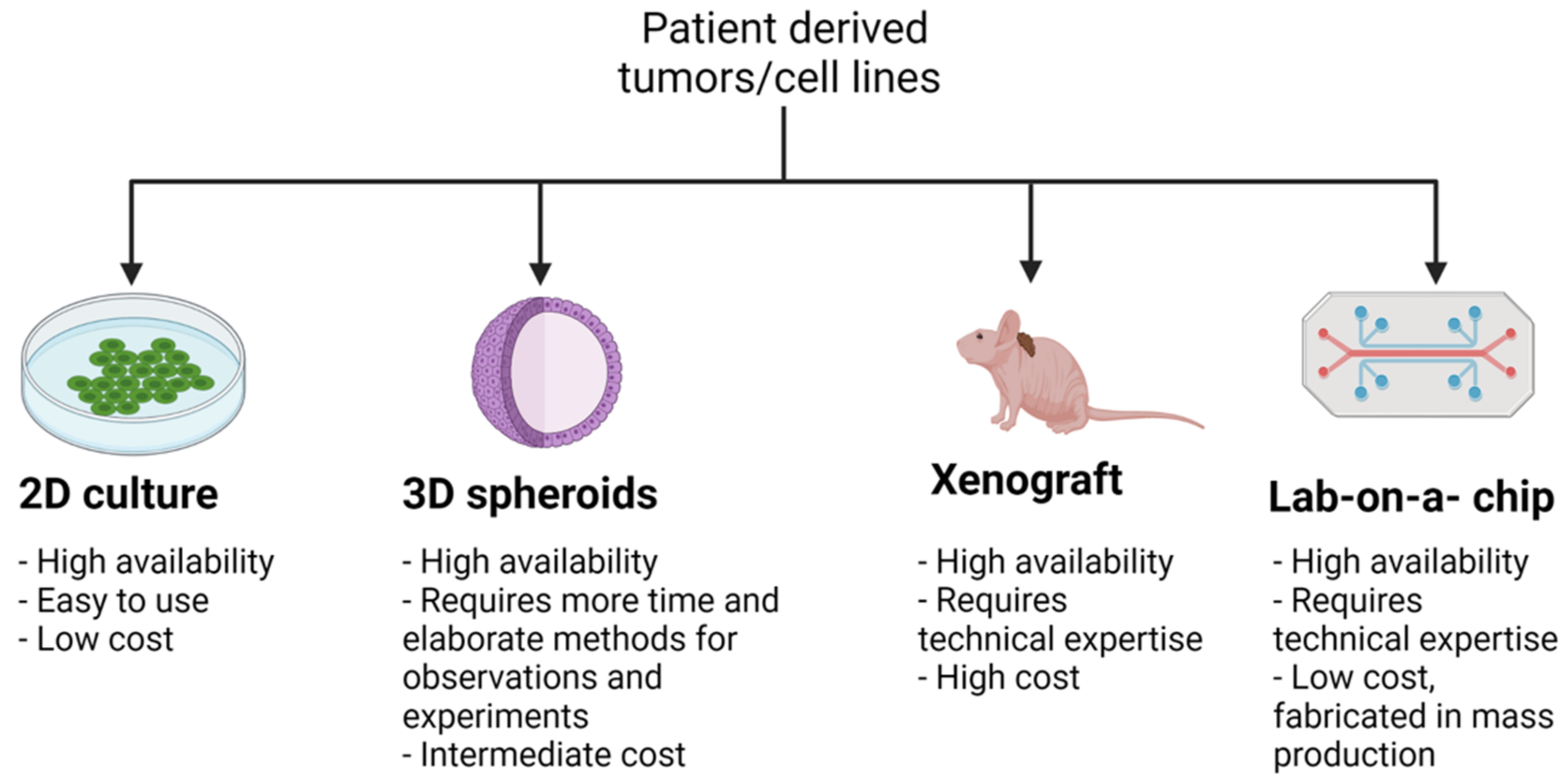 Cancers 14 05321 g002