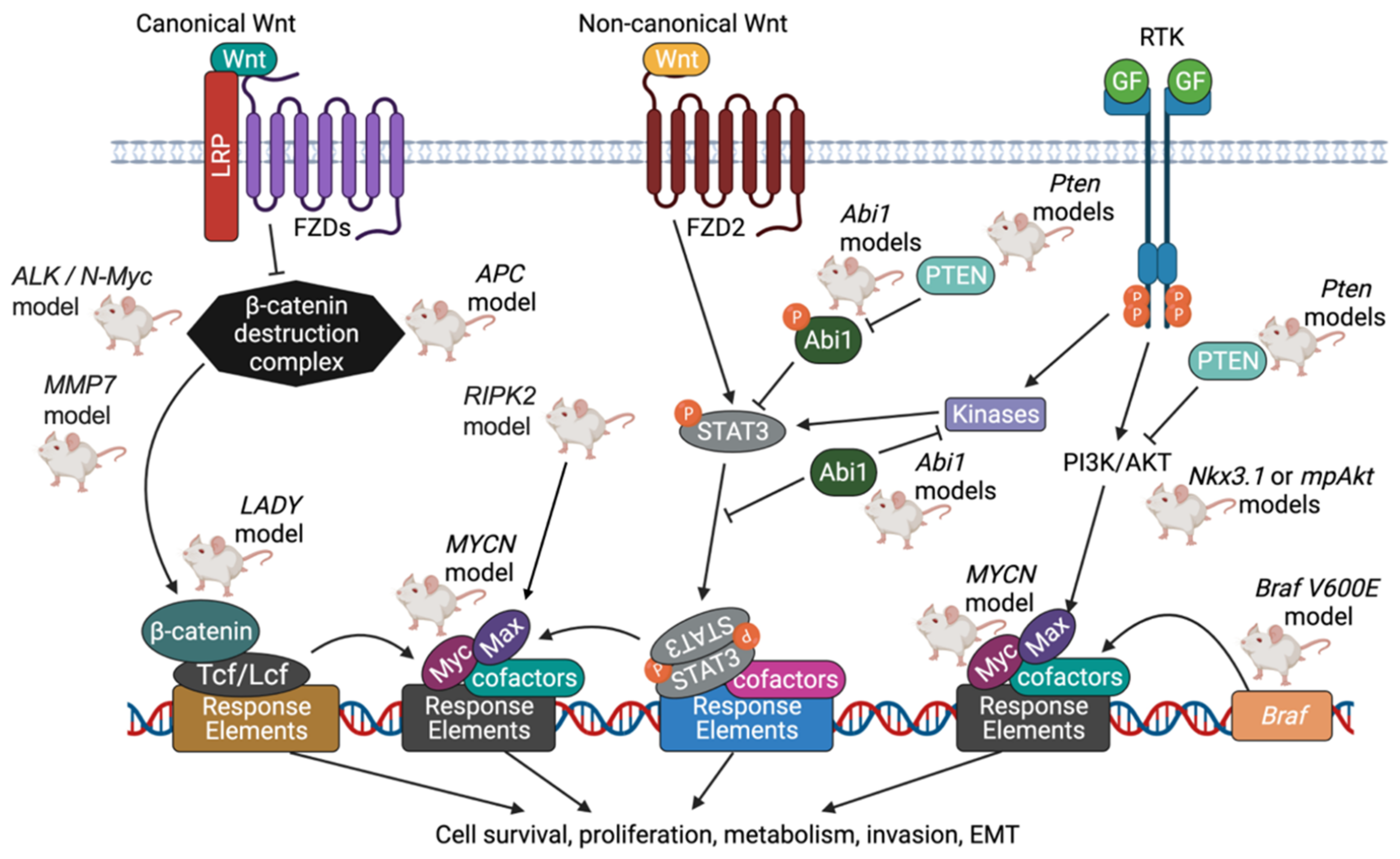 Cancers 14 05321 g005