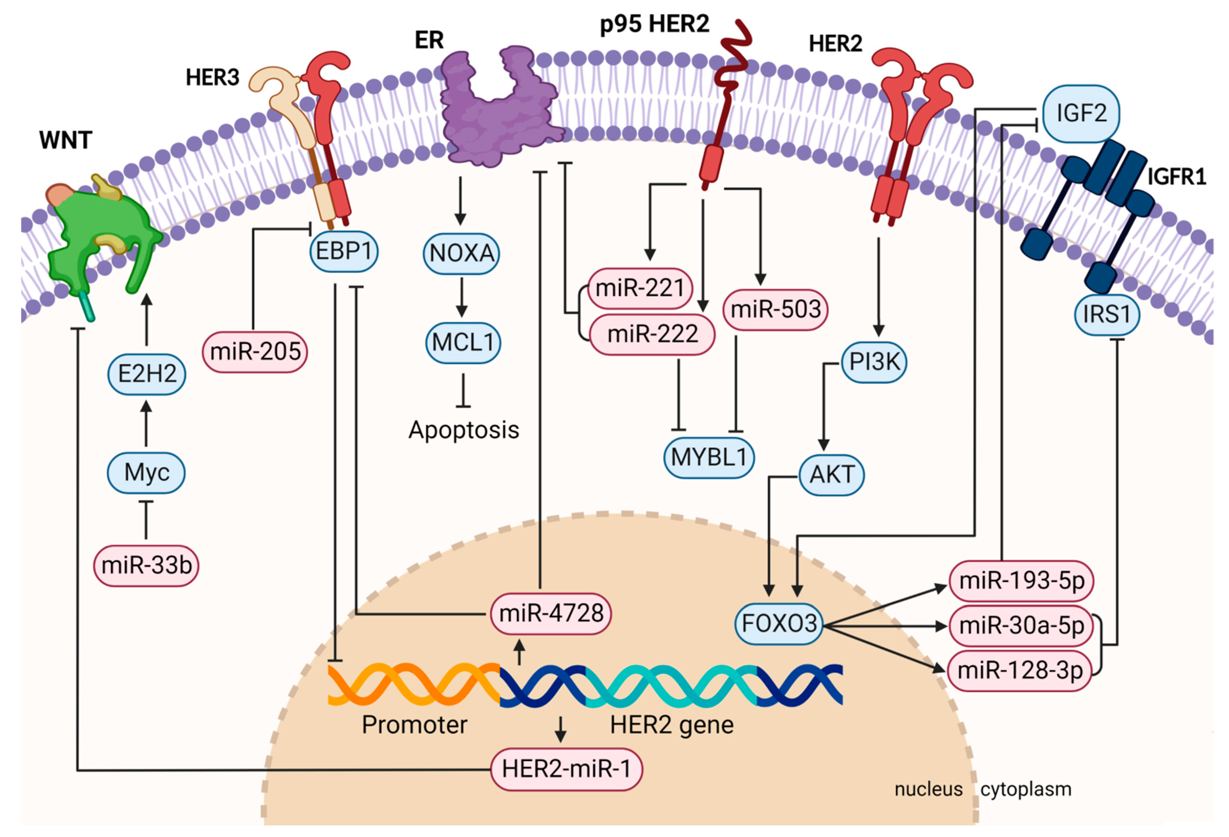 Cancers 14 05326 g001