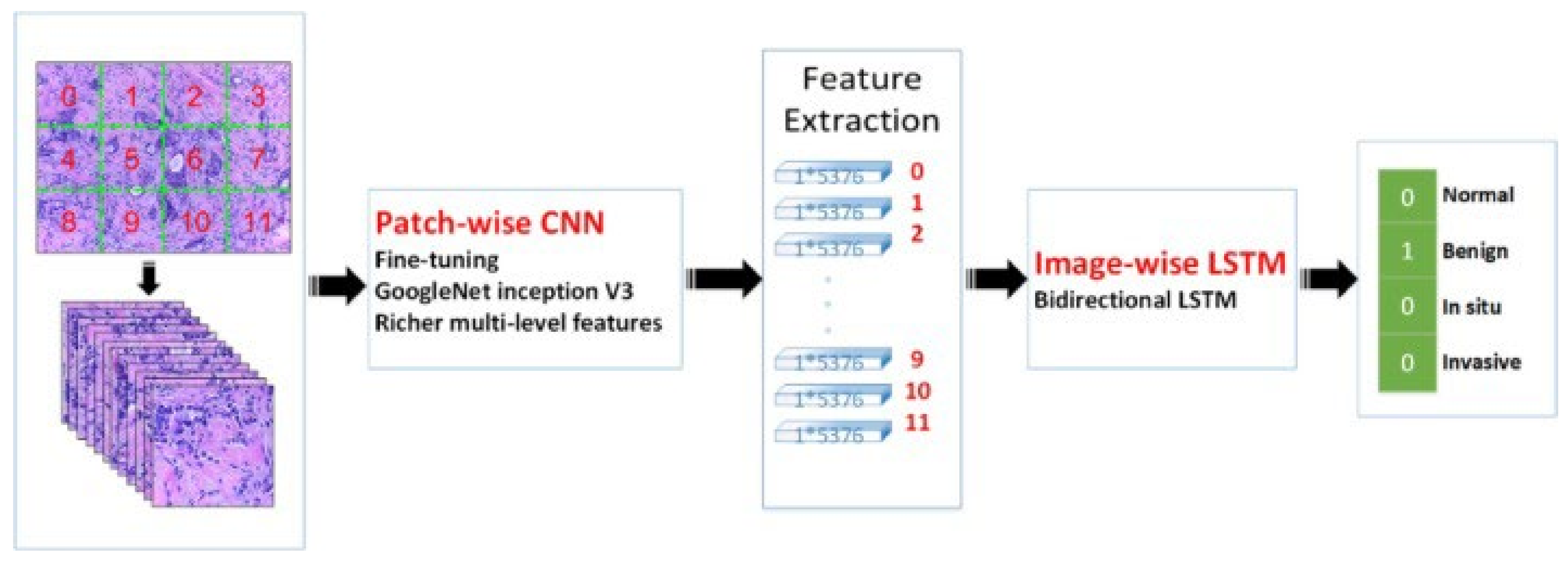Cancers 14 05334 g010 Cancers 14 05334 g010