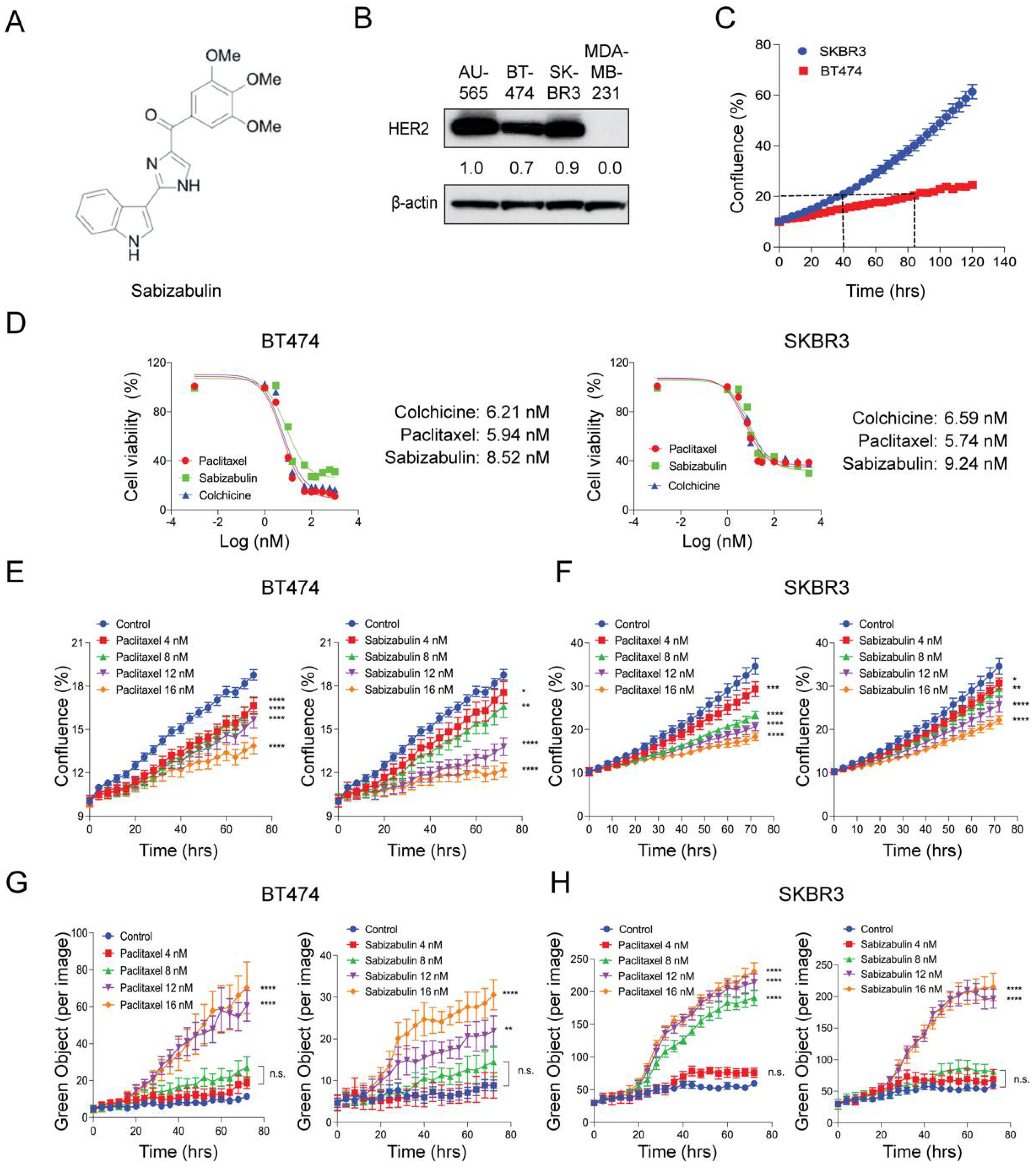 Cancers 14 05336 g001