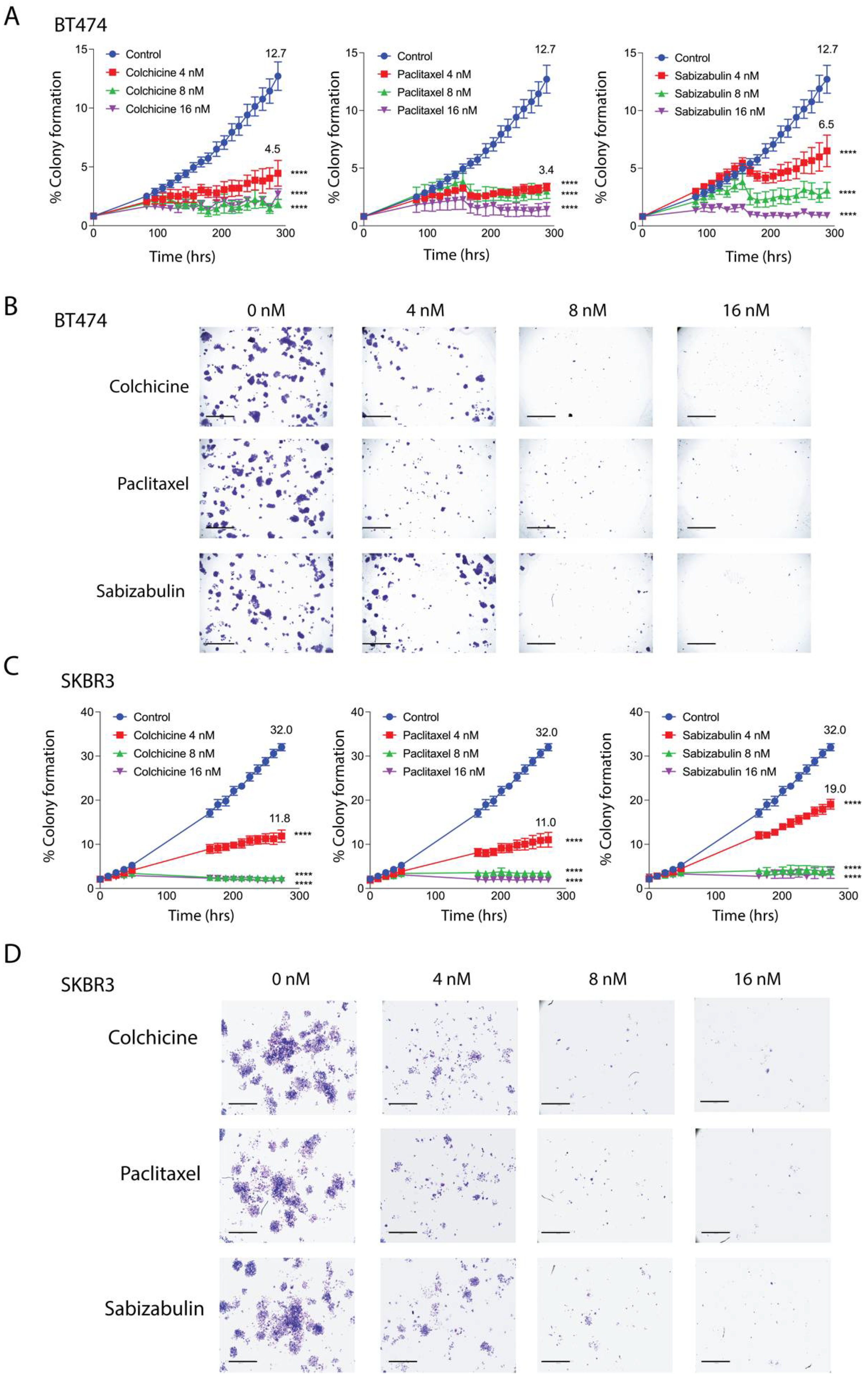 Cancers 14 05336 g002