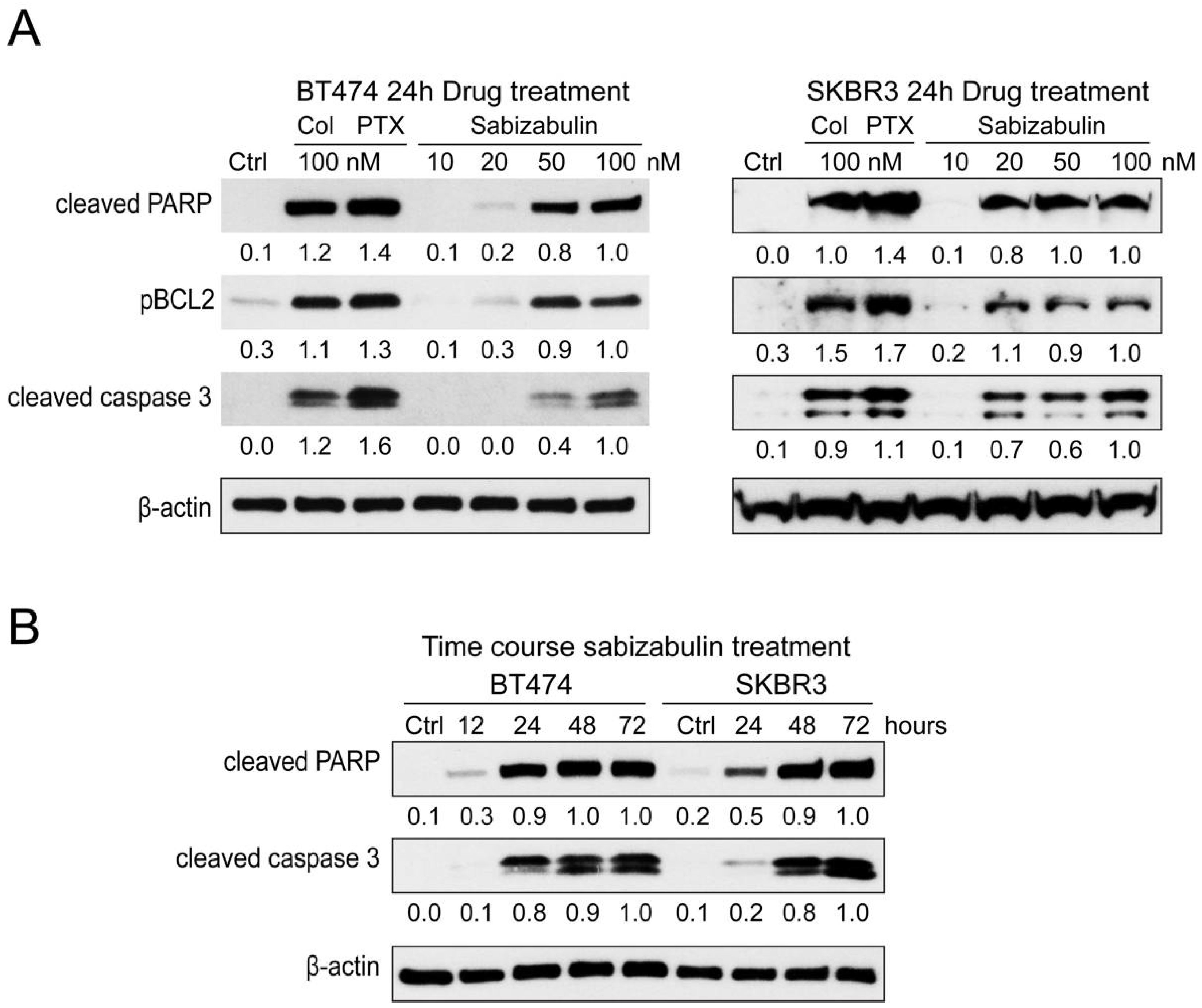 Cancers 14 05336 g003