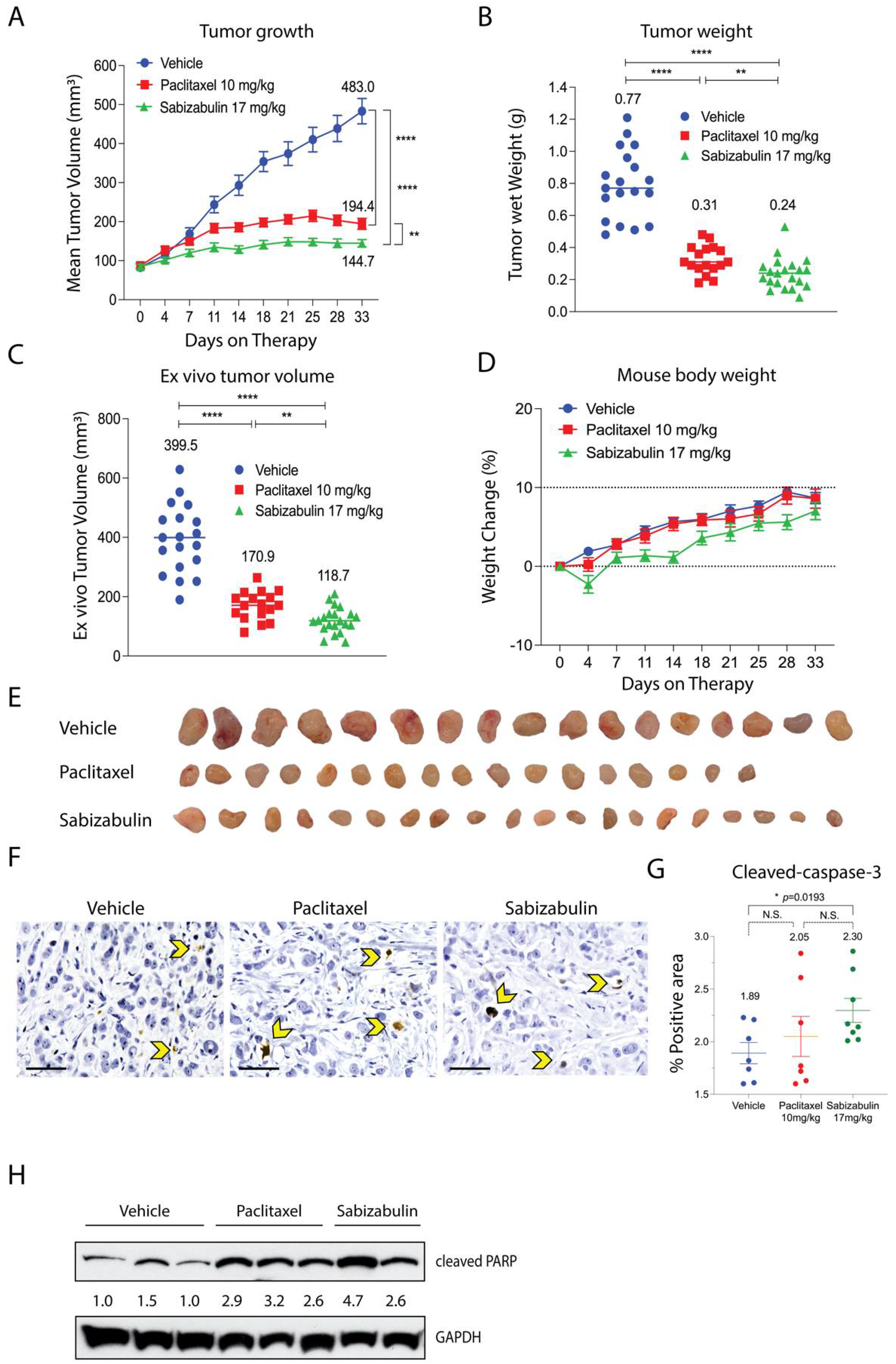 Cancers 14 05336 g004