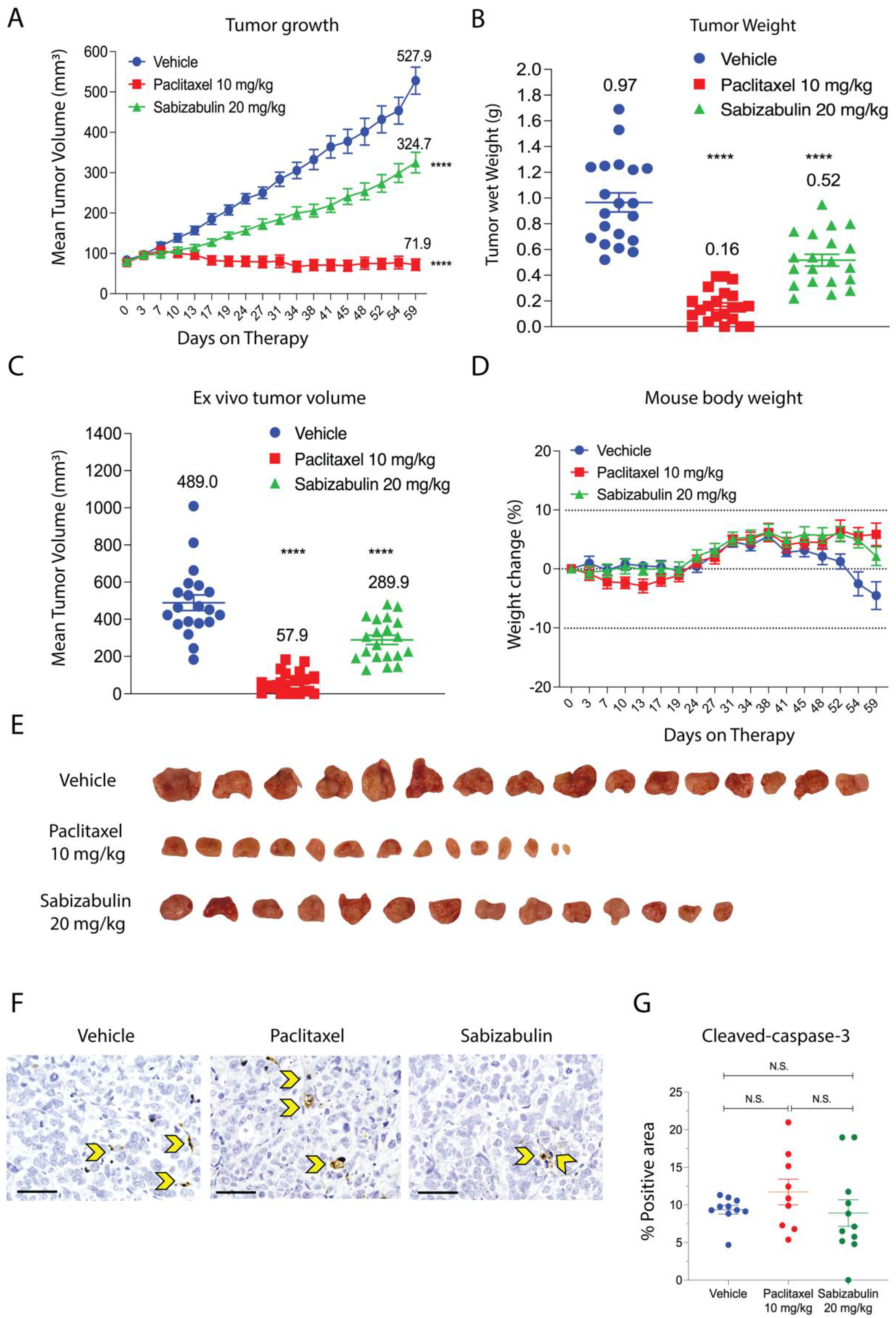 Cancers 14 05336 g005
