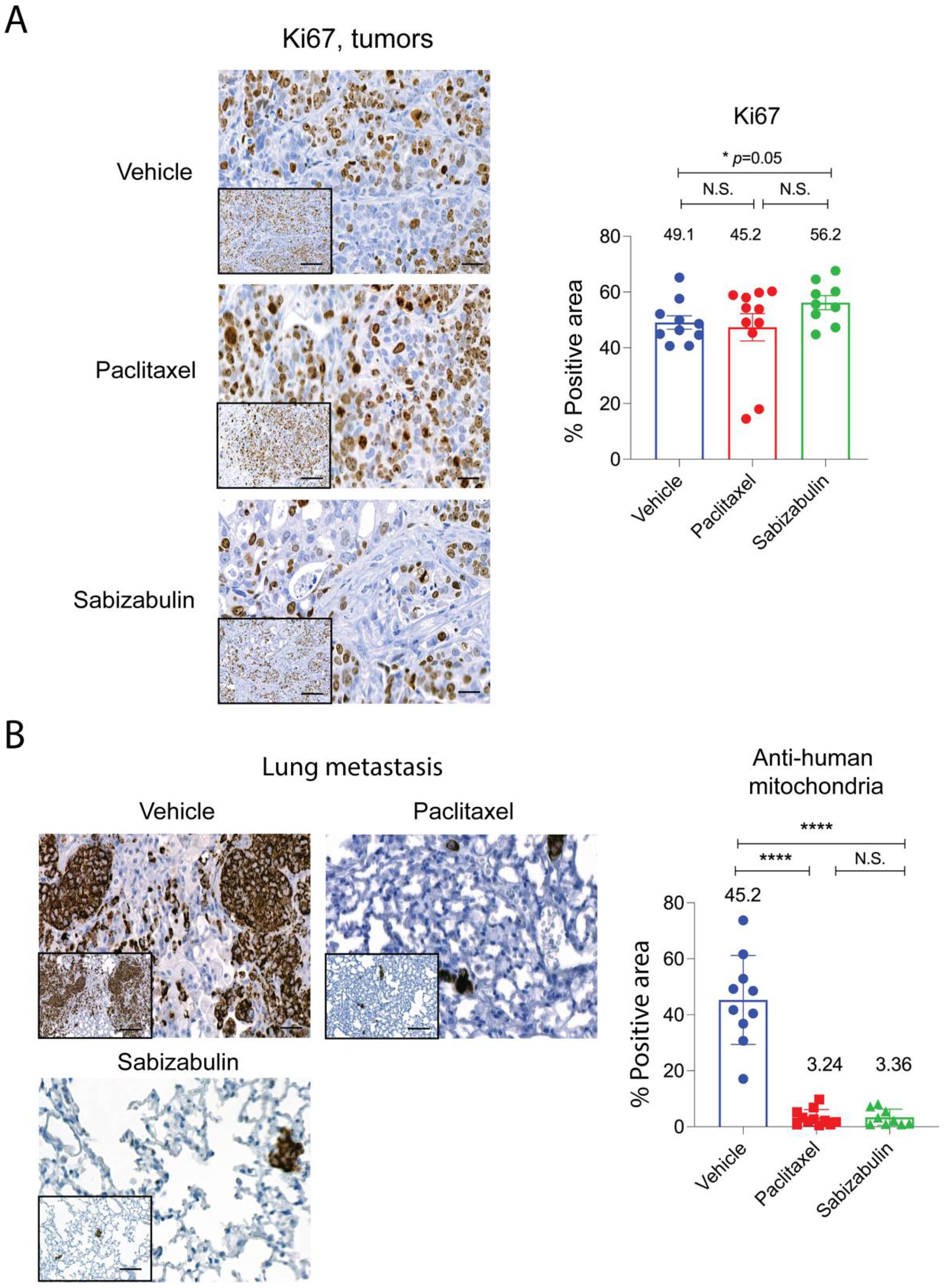 Cancers 14 05336 g006