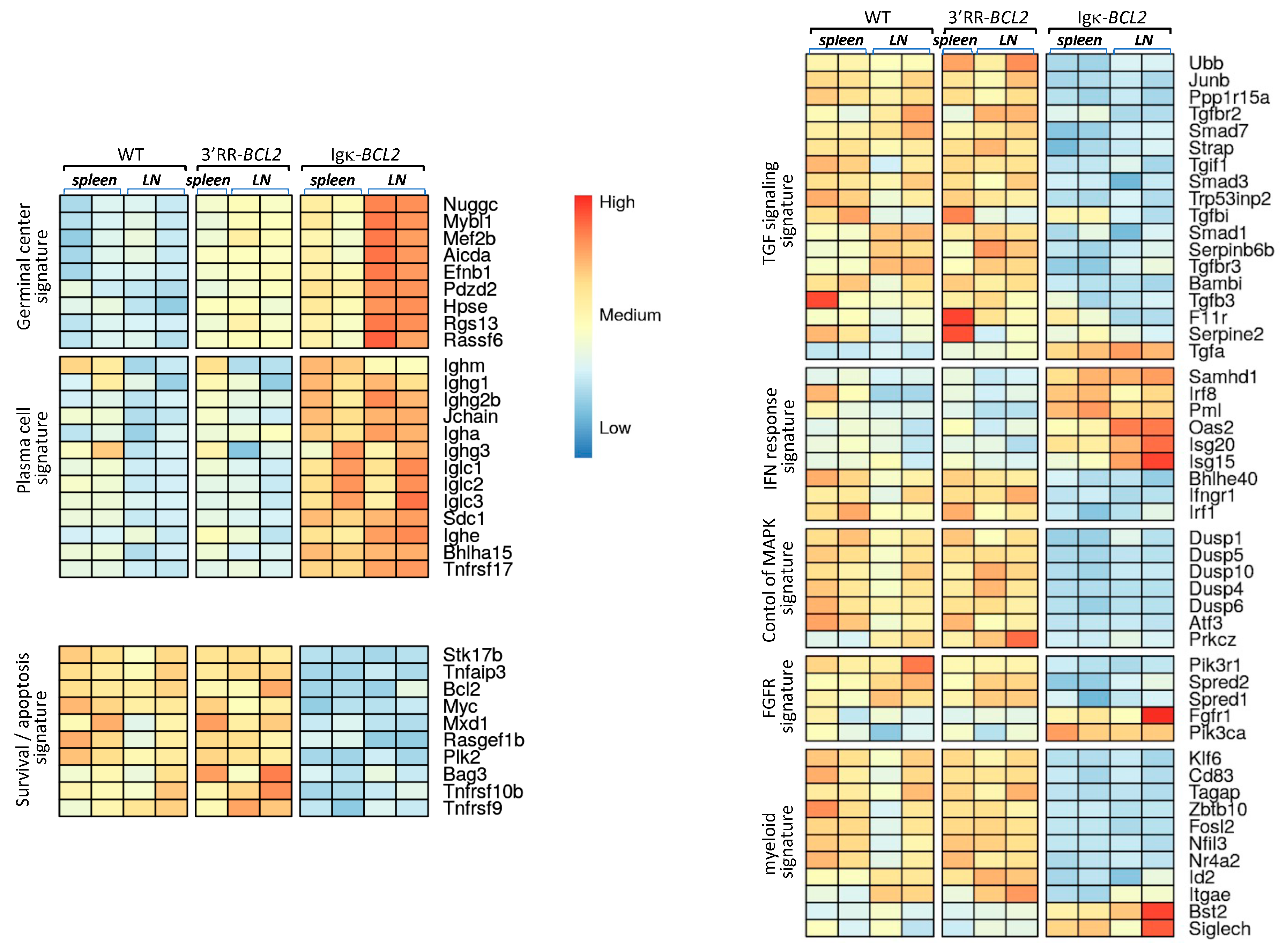 Cancers 14 05337 g004