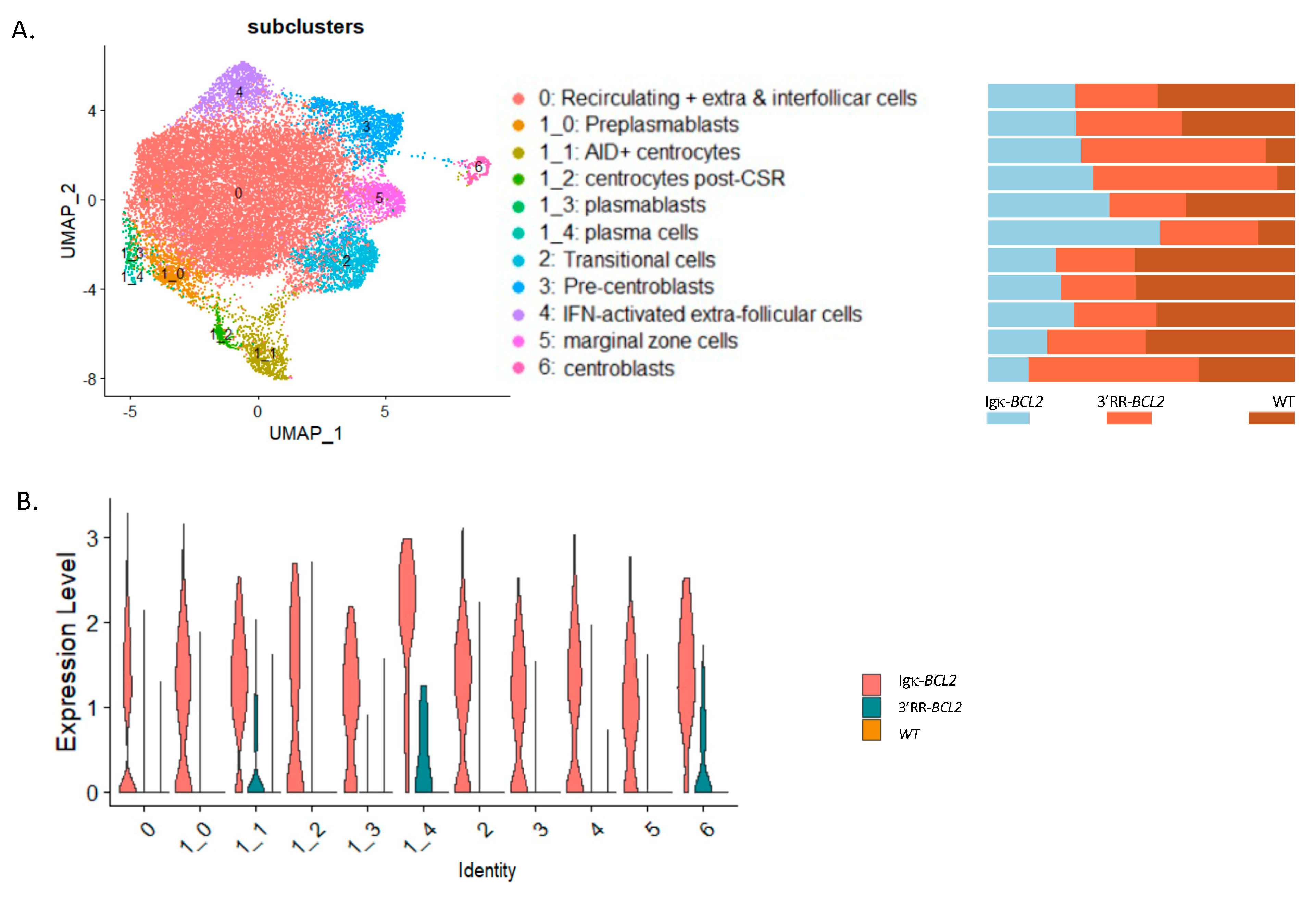 Cancers 14 05337 g005