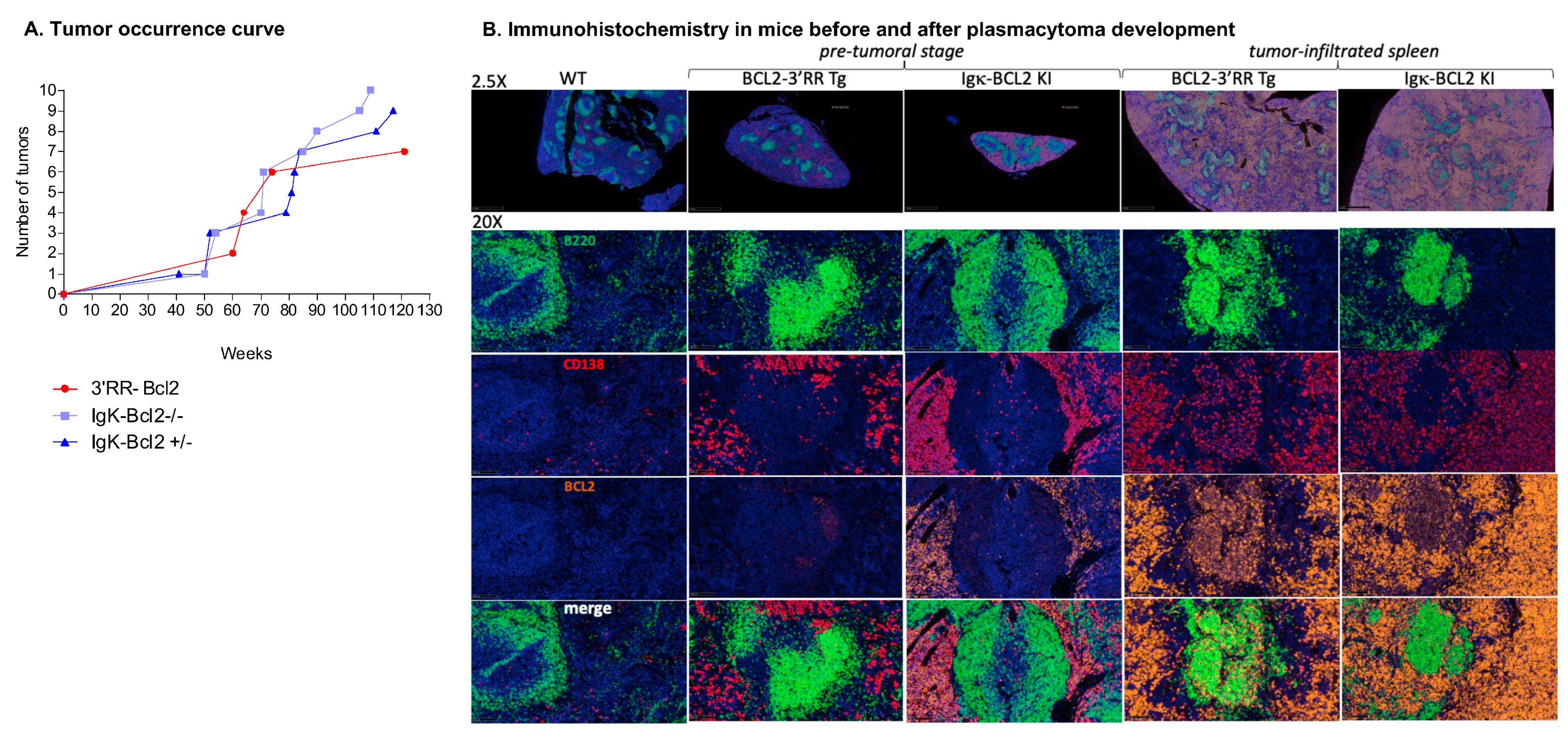 Cancers 14 05337 g007