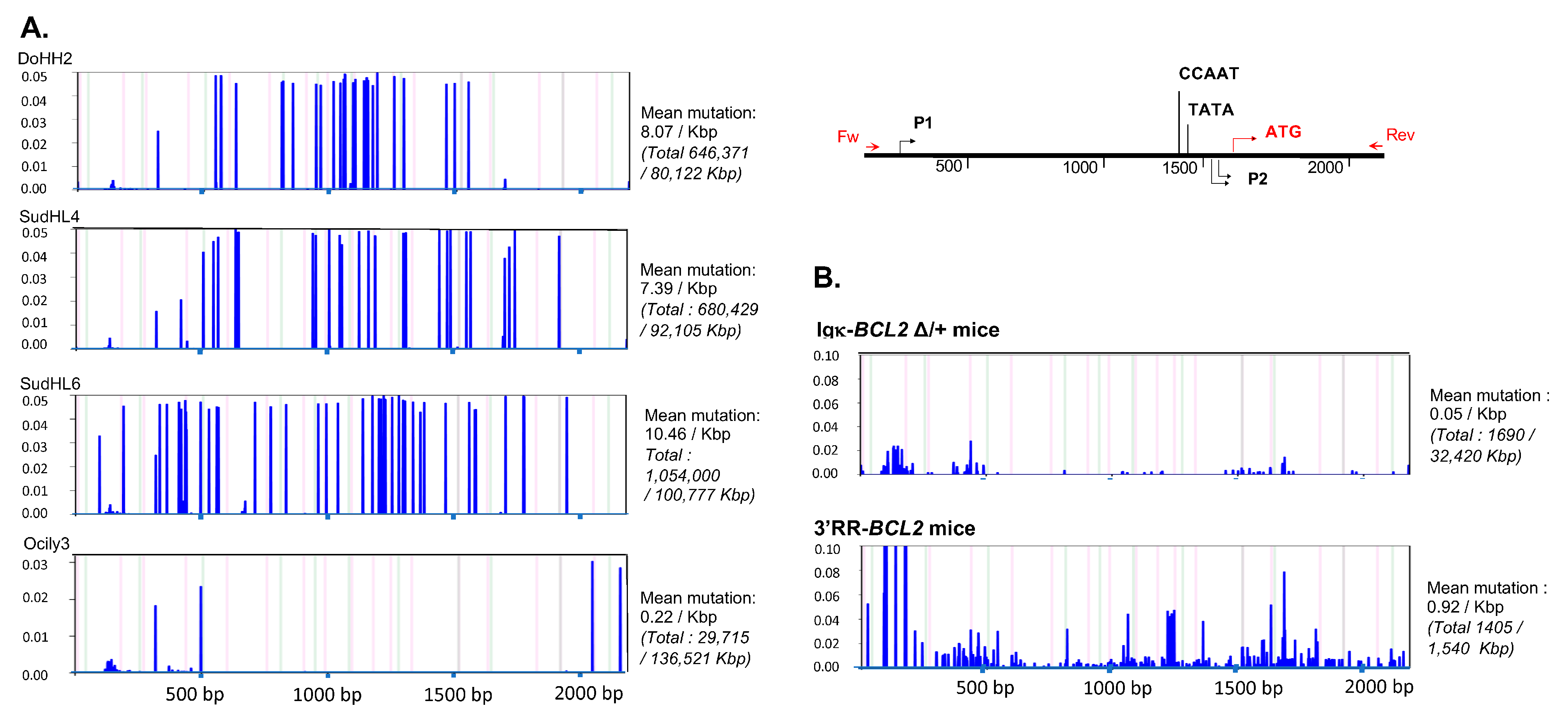 Cancers 14 05337 g008a