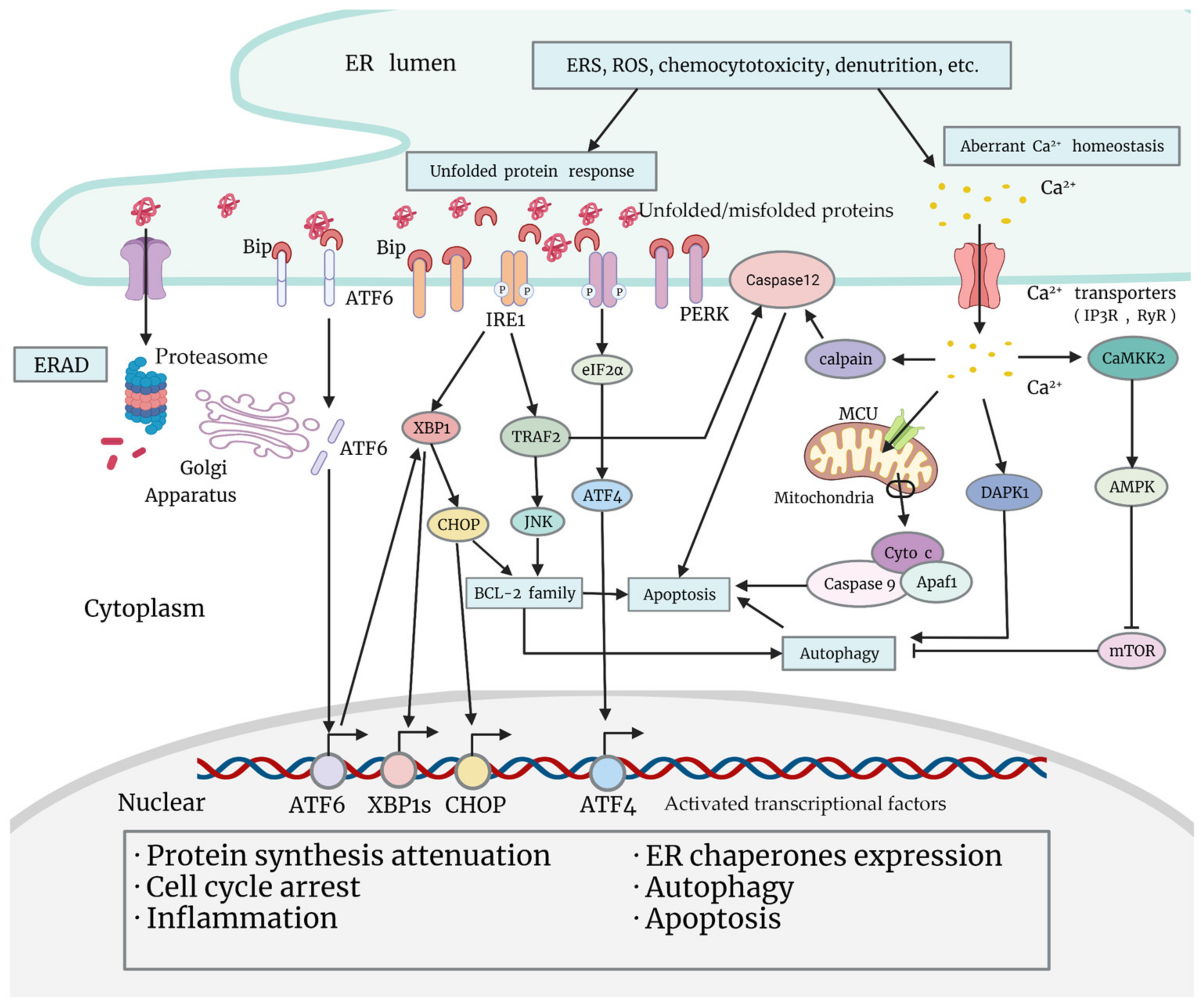 Cancers 14 05340 g001