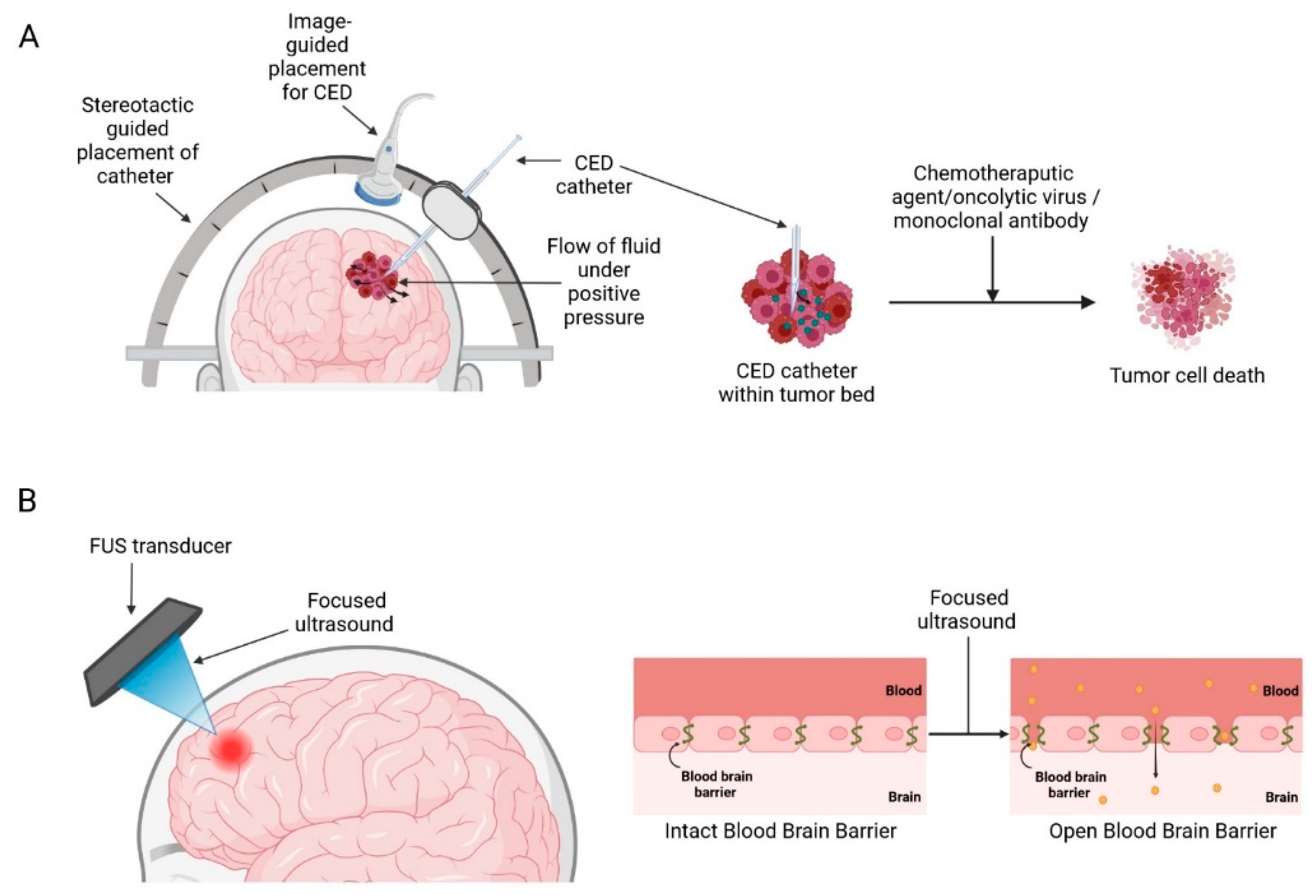 Cancers 14 05341 g003