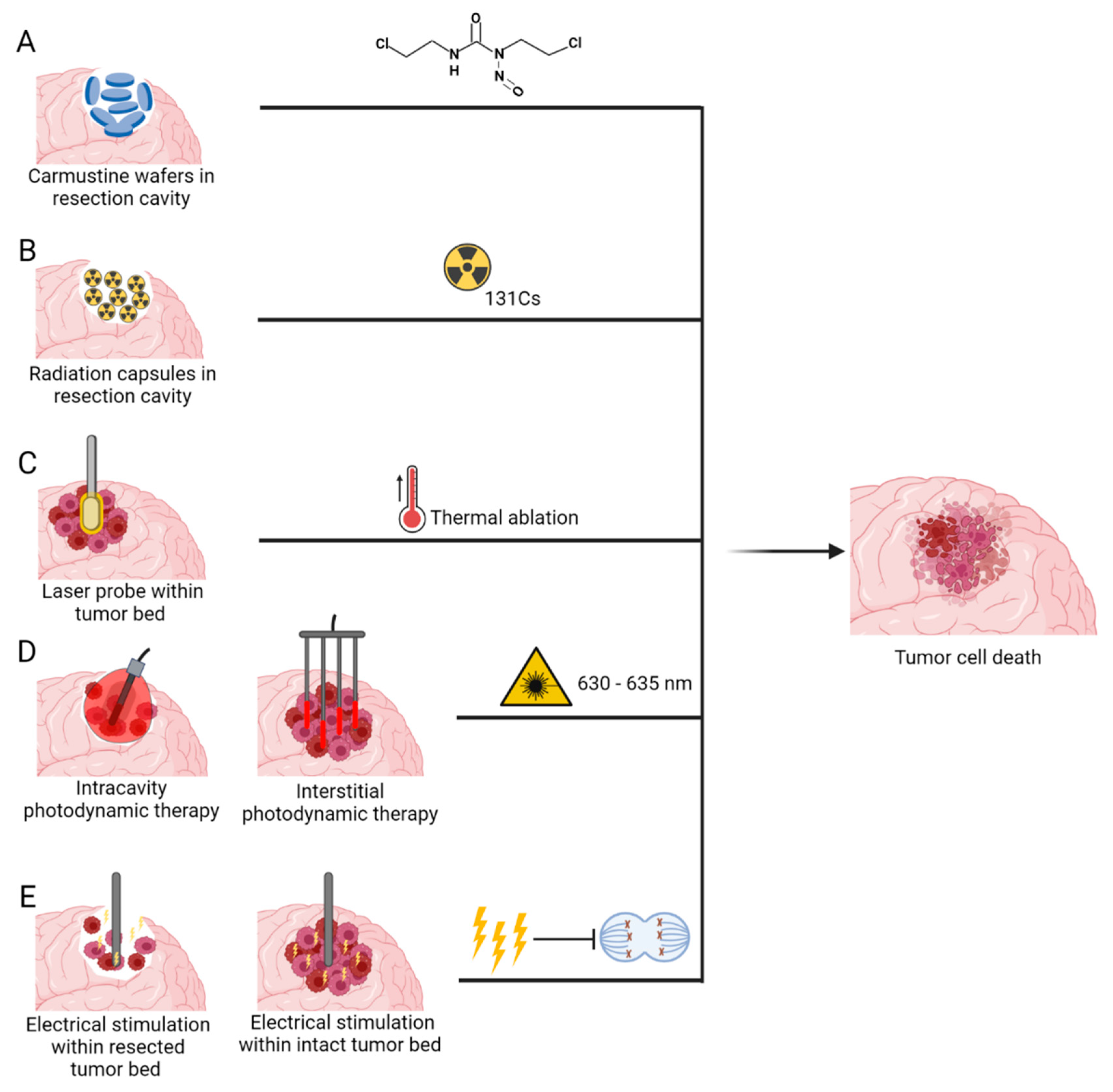 Cancers 14 05341 g005