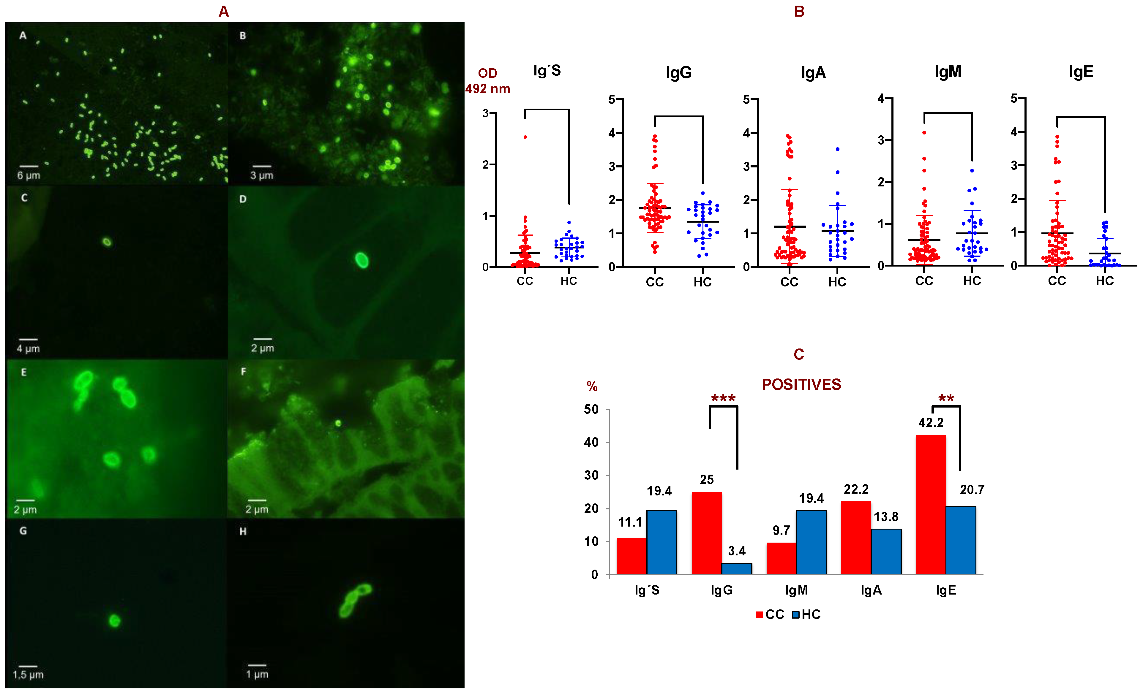 Cancers 14 05342 g001