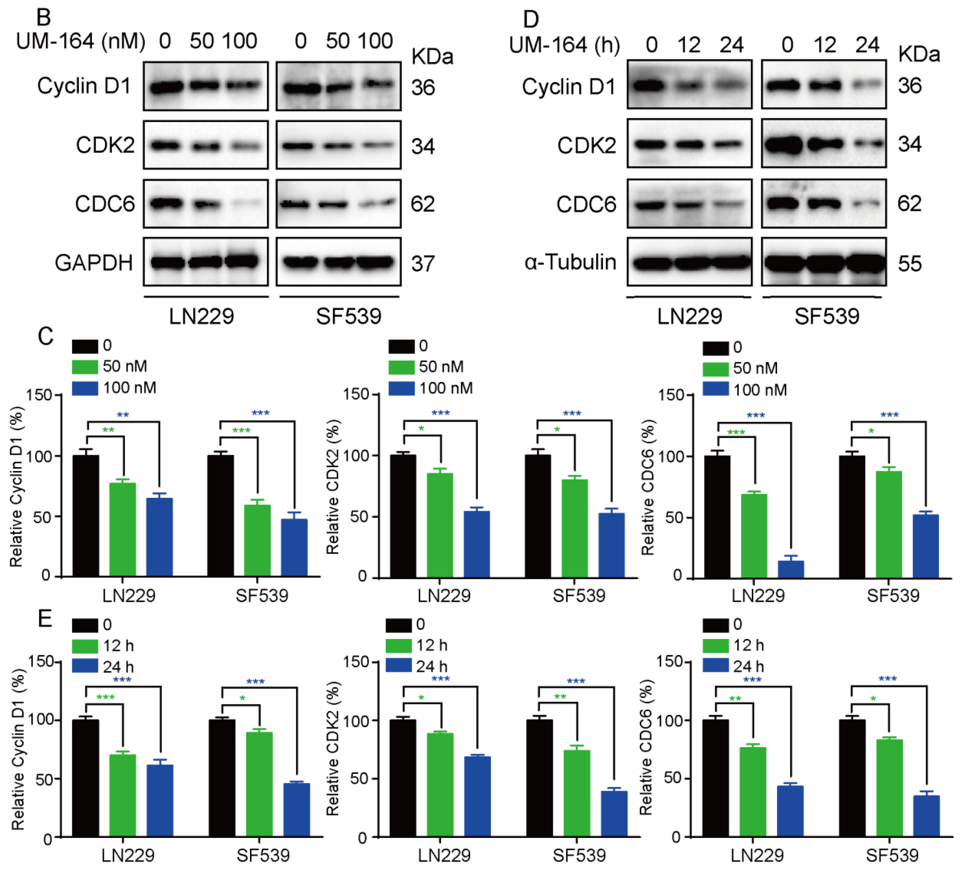Cancers 14 05343 g002b Cancers 14 05343 g002b