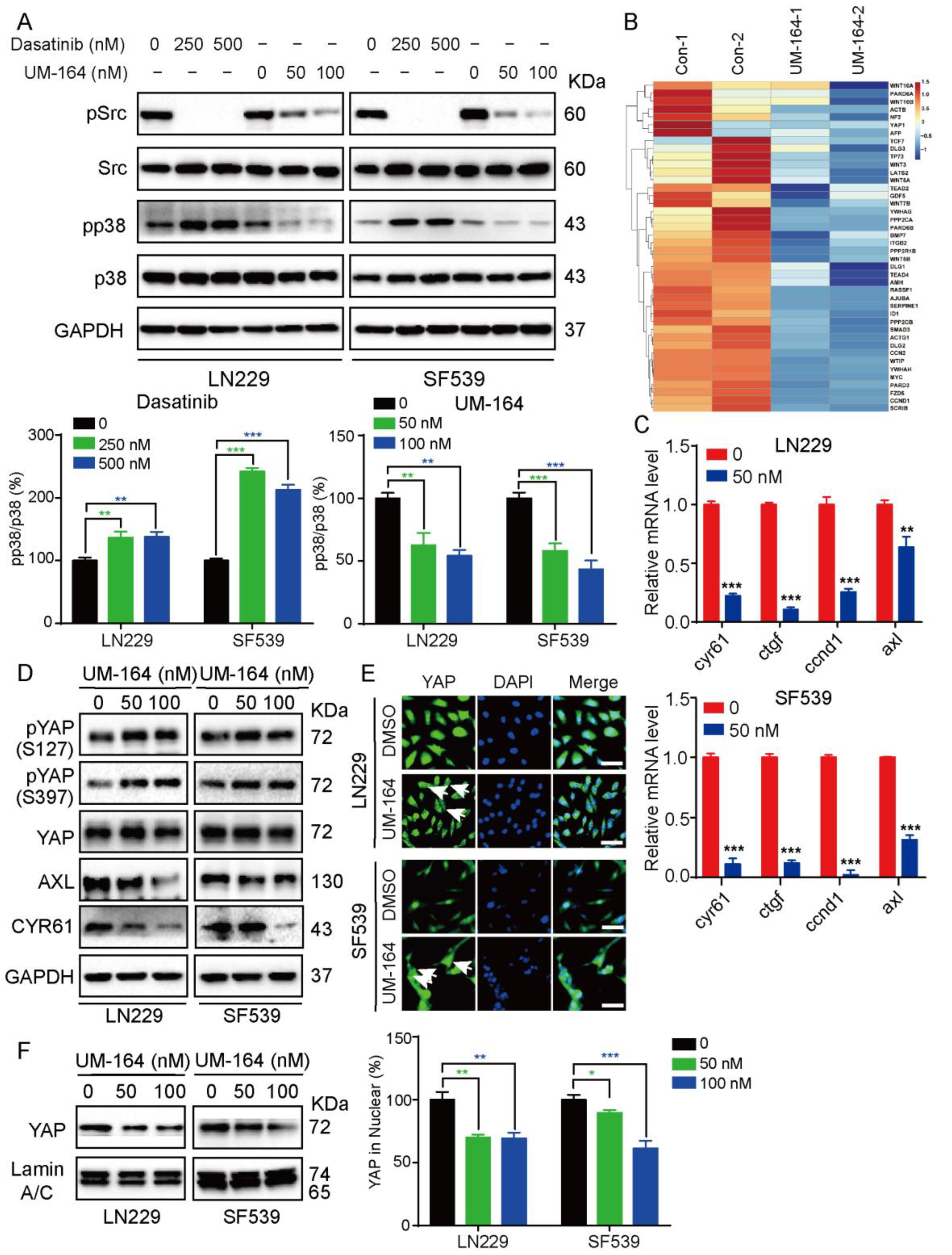 Cancers 14 05343 g003 Cancers 14 05343 g003