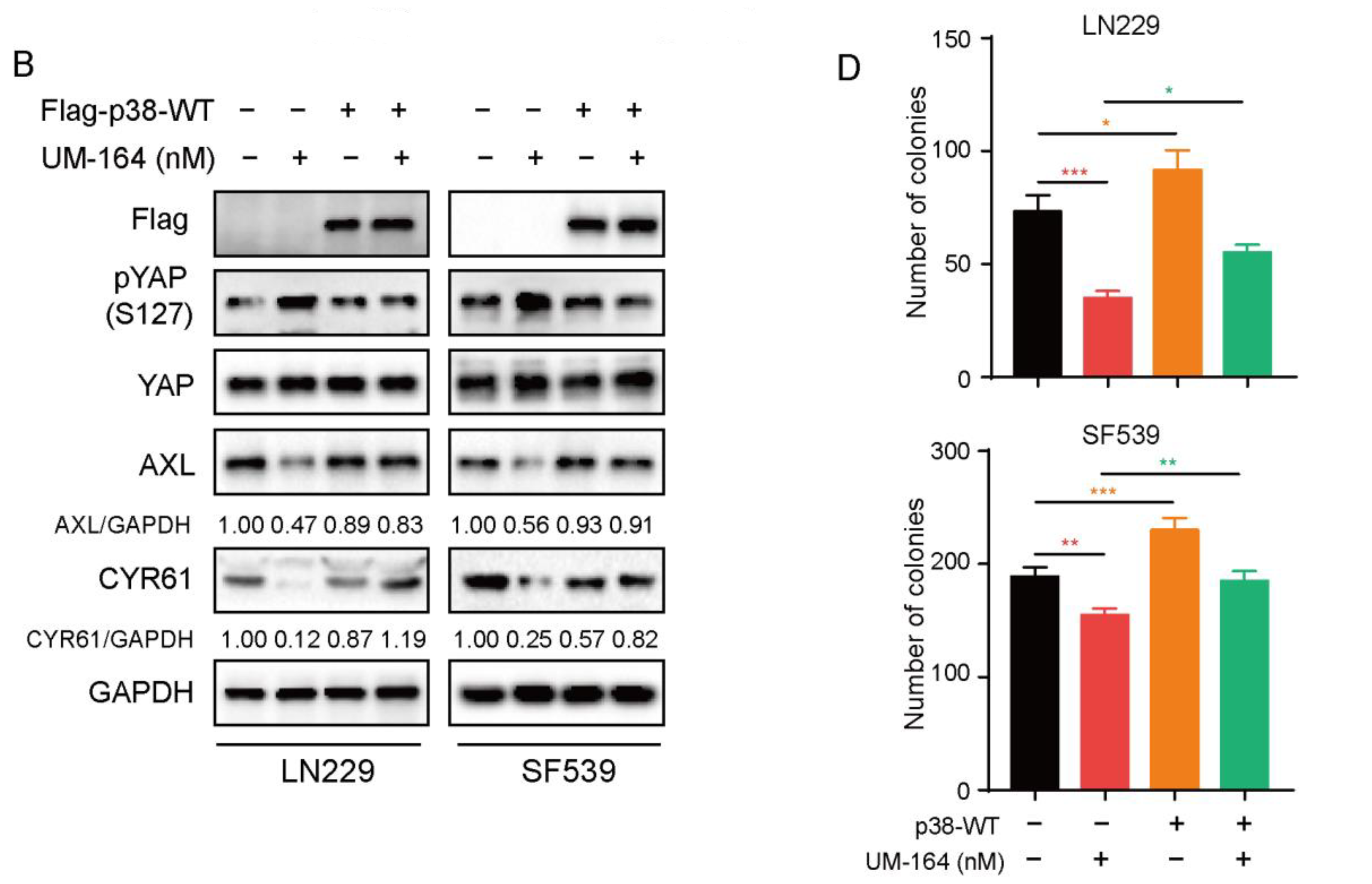 Cancers 14 05343 g005b Cancers 14 05343 g005b