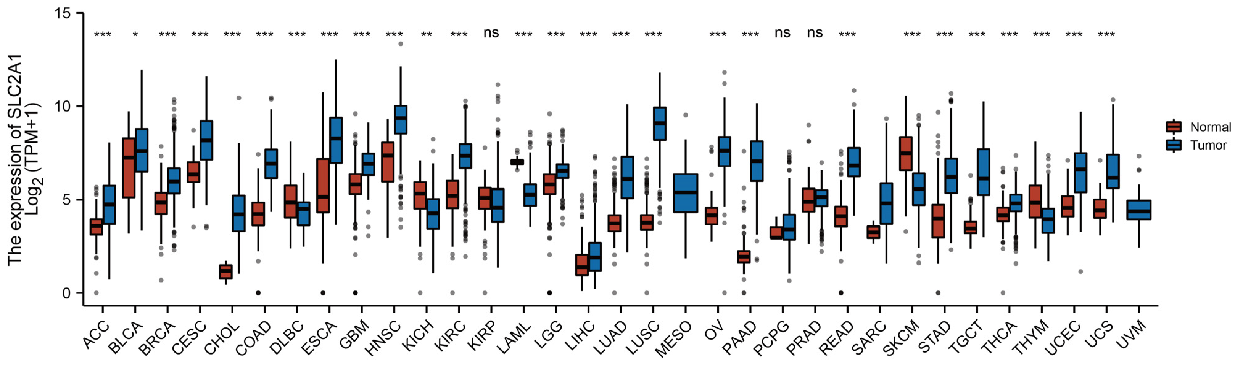 Cancers 14 05344 g001 Cancers 14 05344 g001