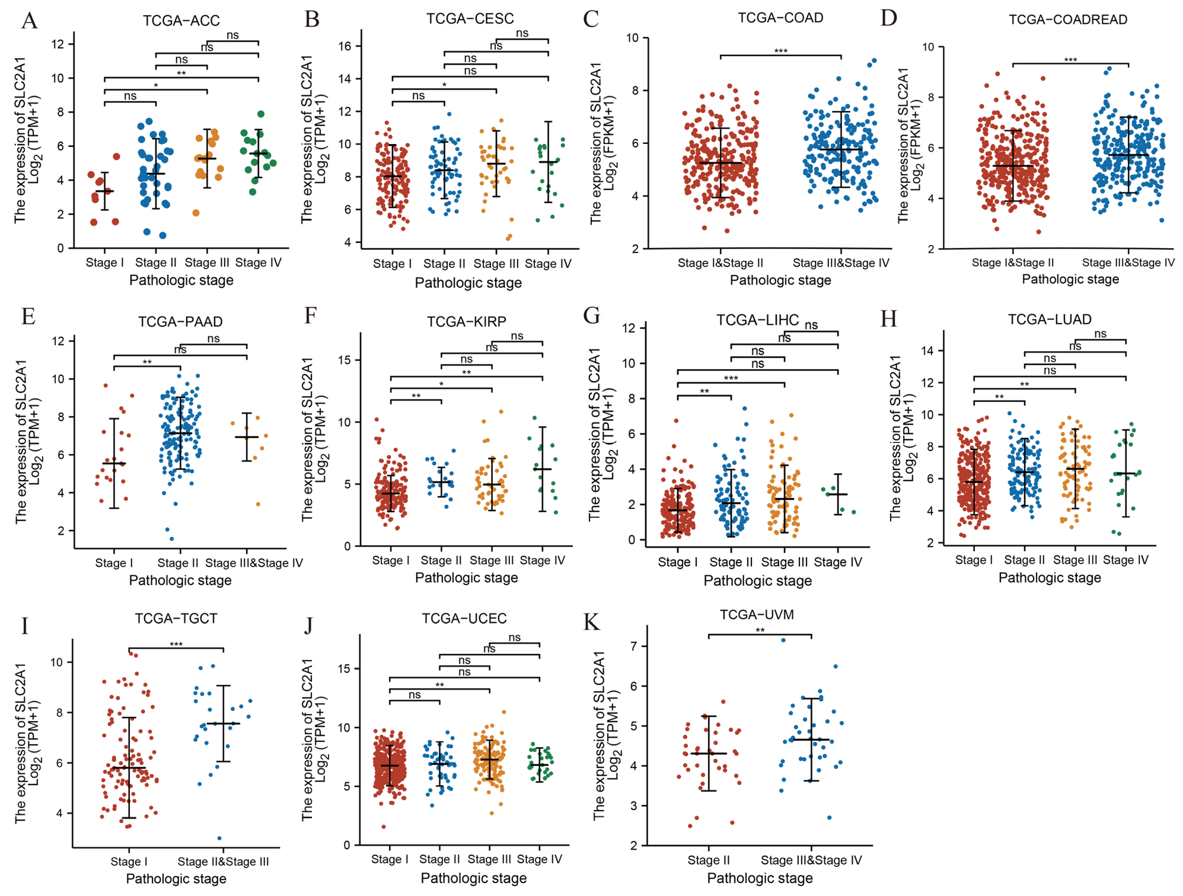 Cancers 14 05344 g003 Cancers 14 05344 g003