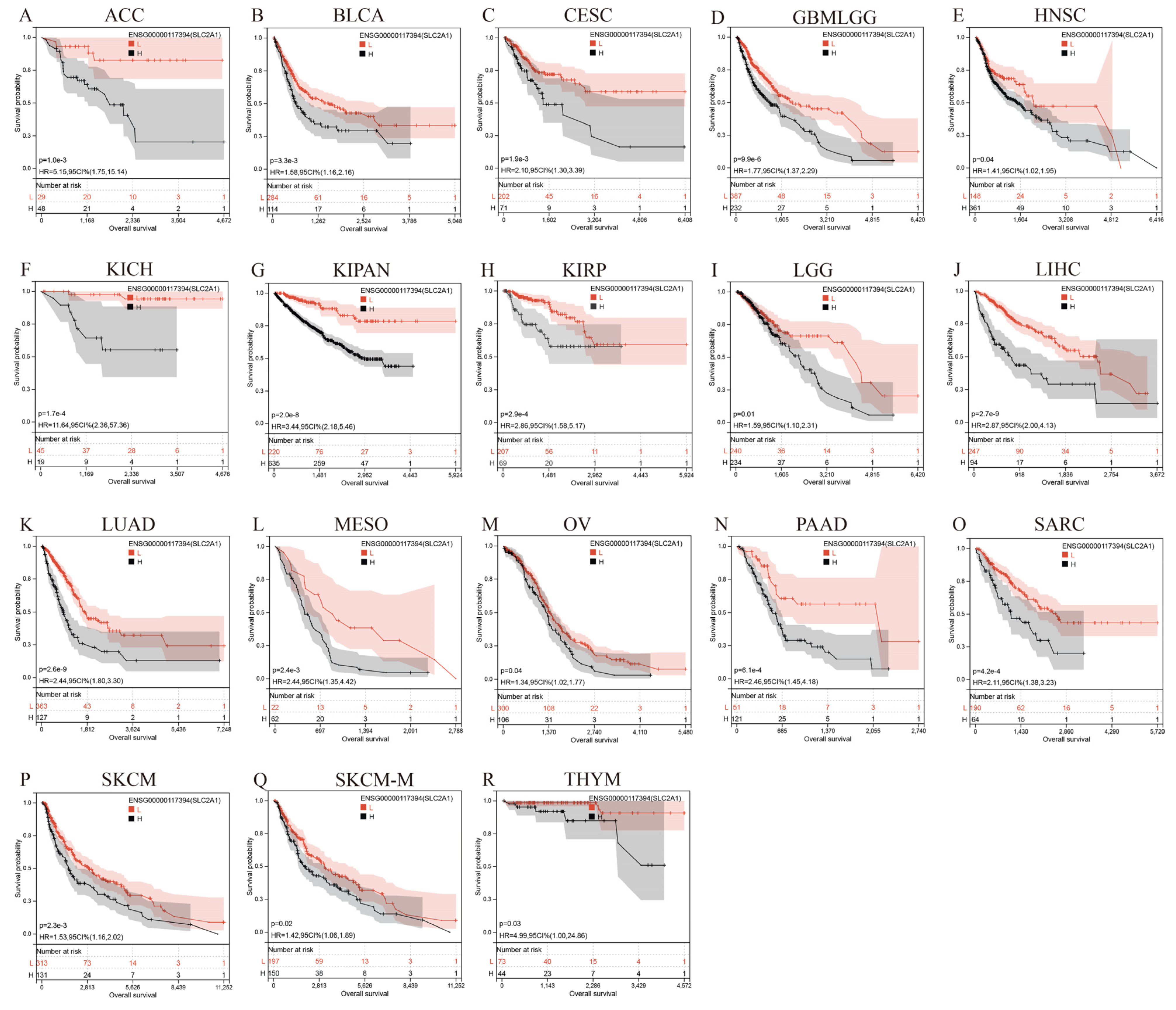 Cancers 14 05344 g007 Cancers 14 05344 g007