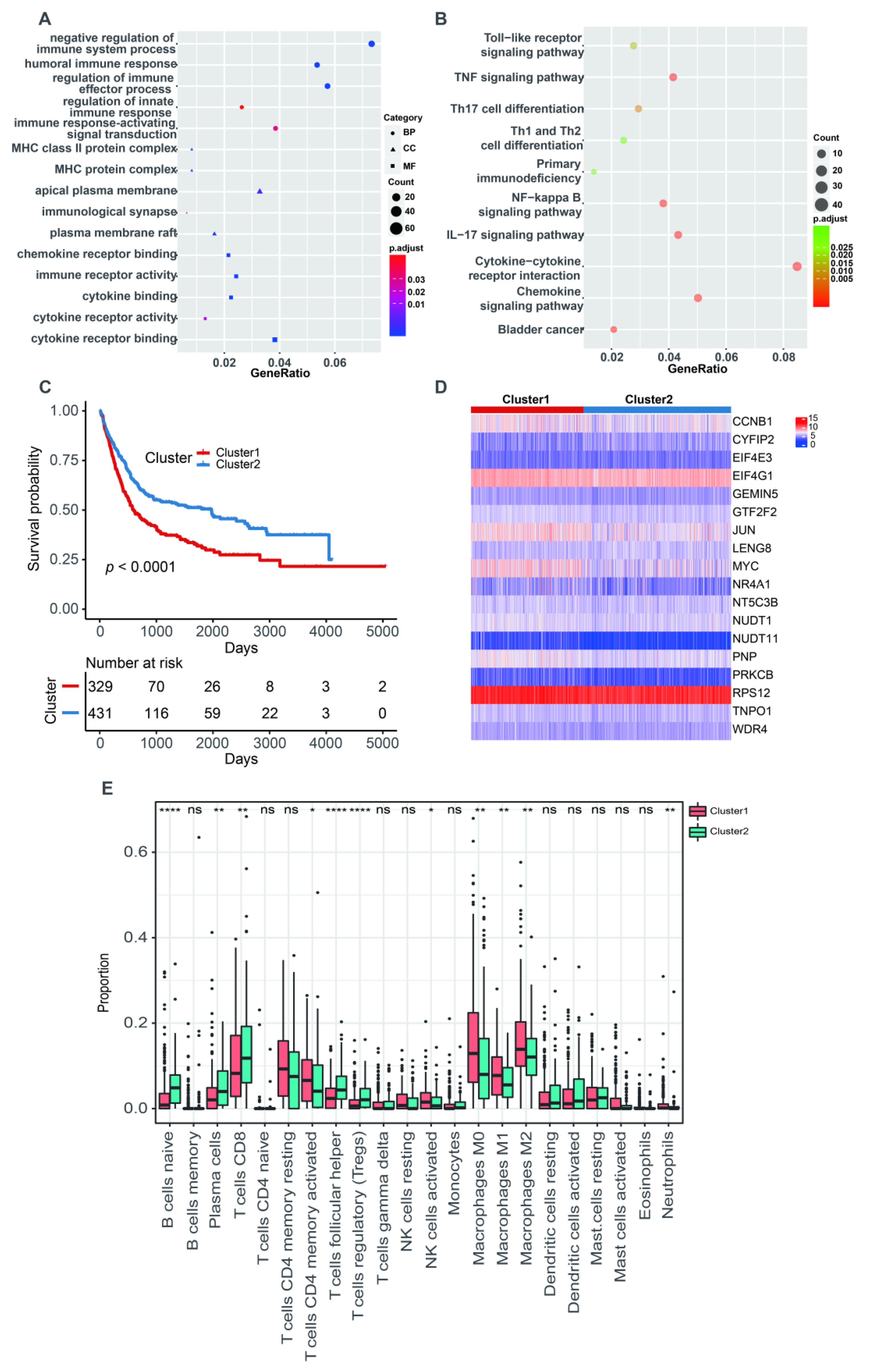 Cancers 14 05346 g003